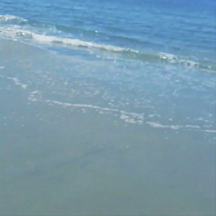 Video thumbnail 4 more videos
