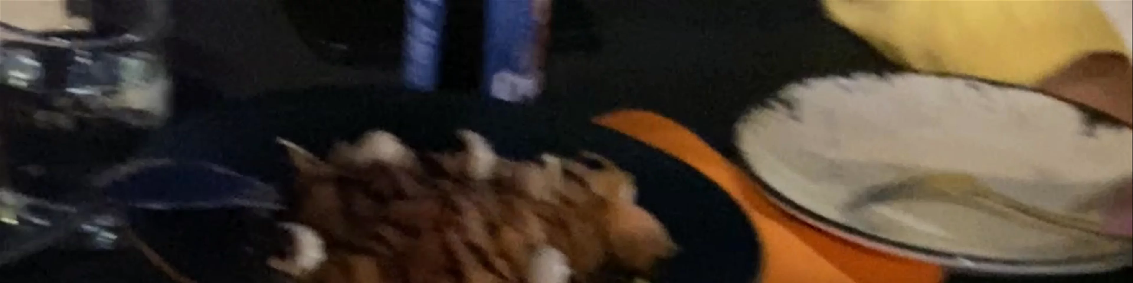 La Rana Loca