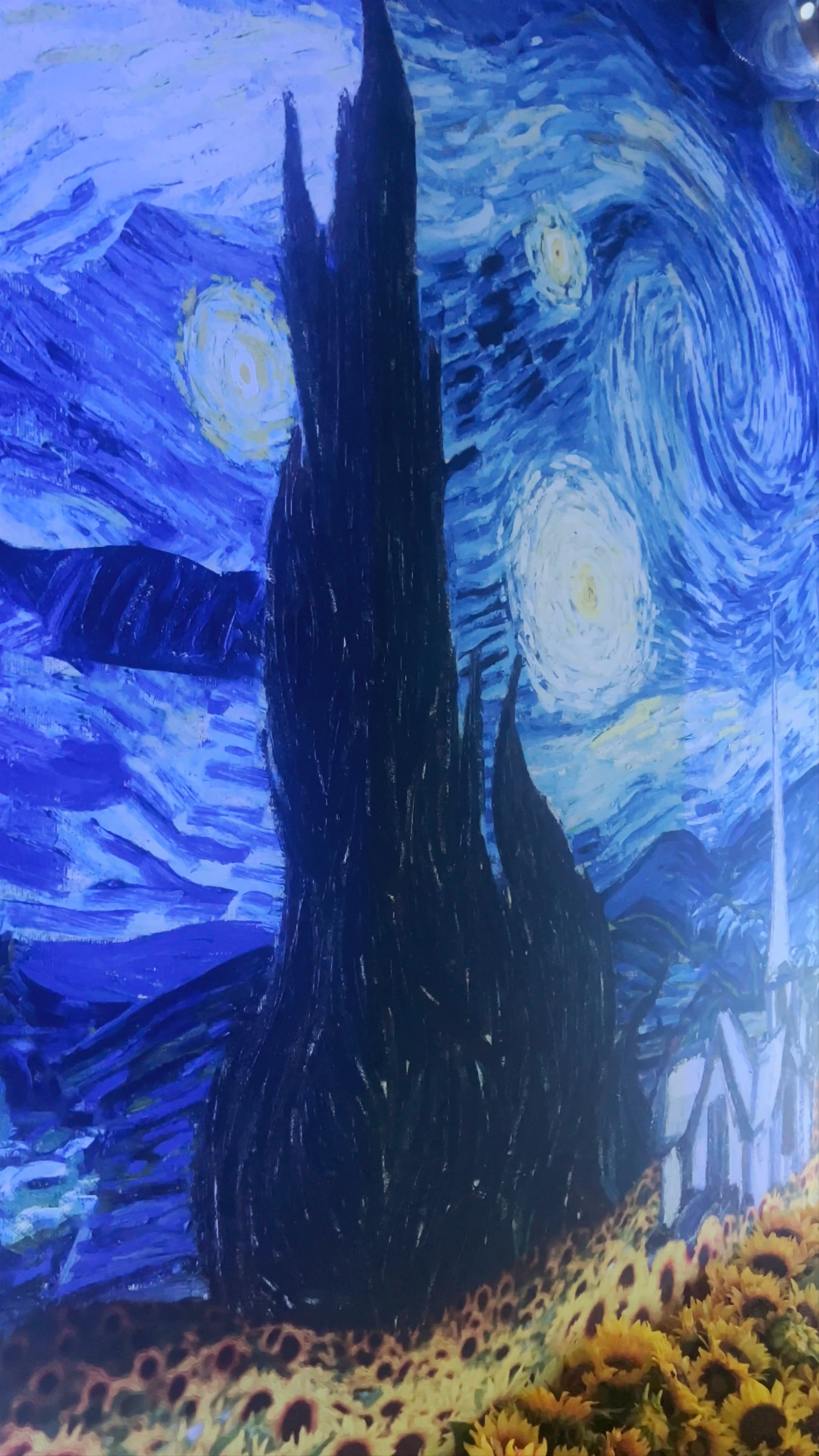 Immersive Van Gogh Experience: A Night Under Starry Skies in Alicante
