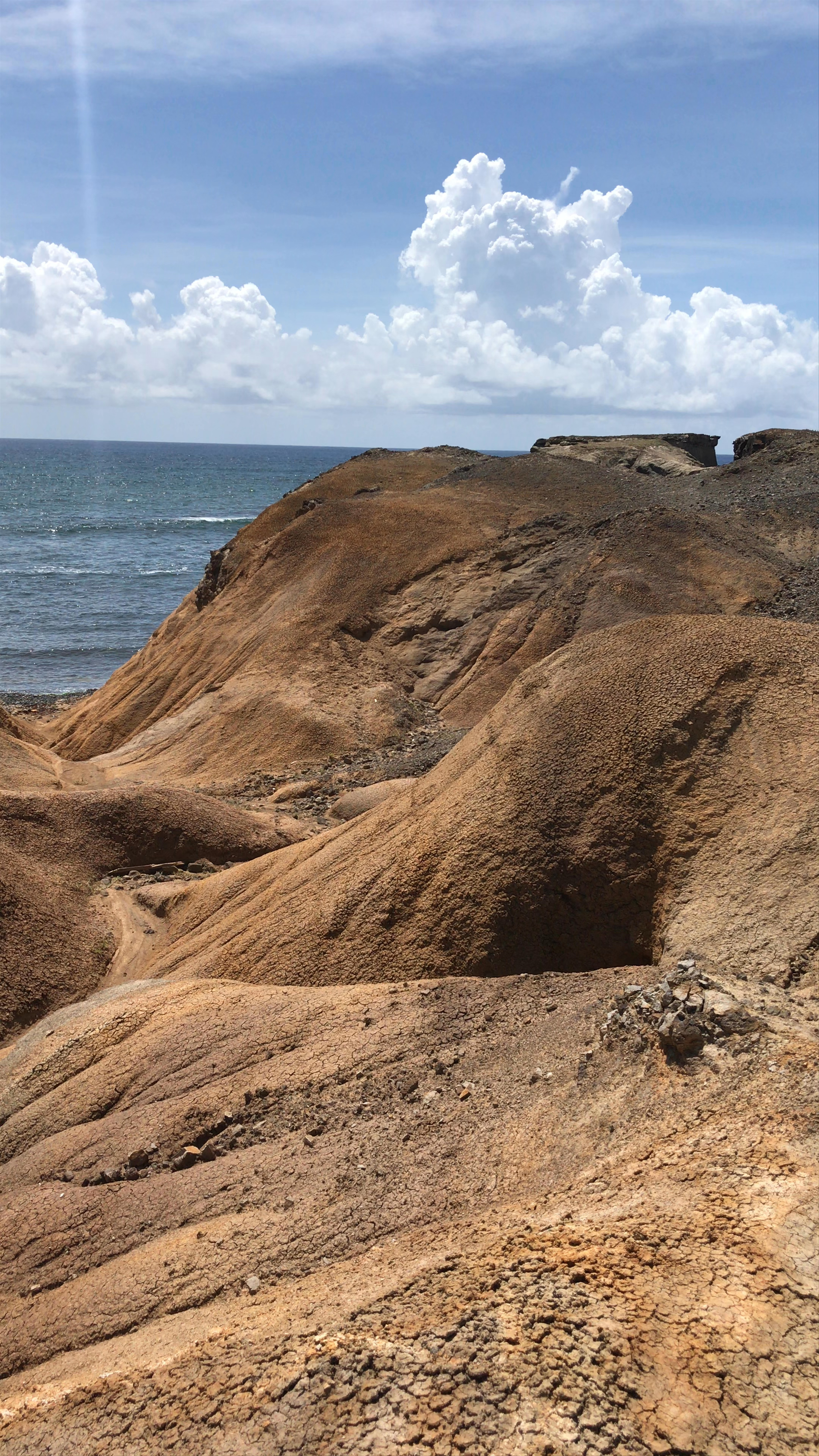 Savanna of Petrifications