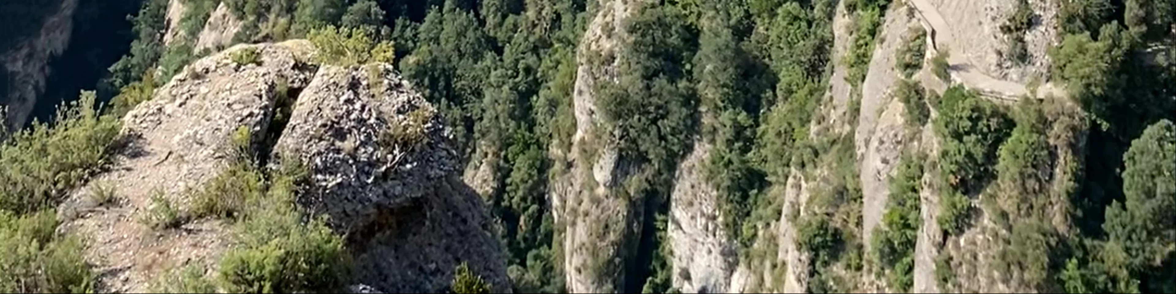 Escala de l'enteniment