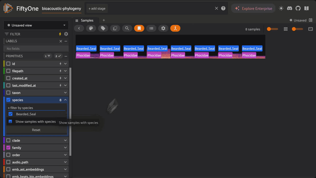 Filtering the FiftyOne grid to bearded seal clips, each rendered as a live in-browser spectrogram.