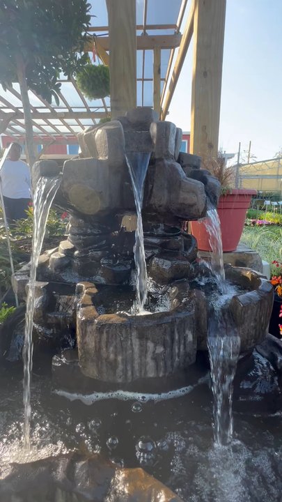 Florida Nursery Mart - Landscaping Near Me - Davie, Florida