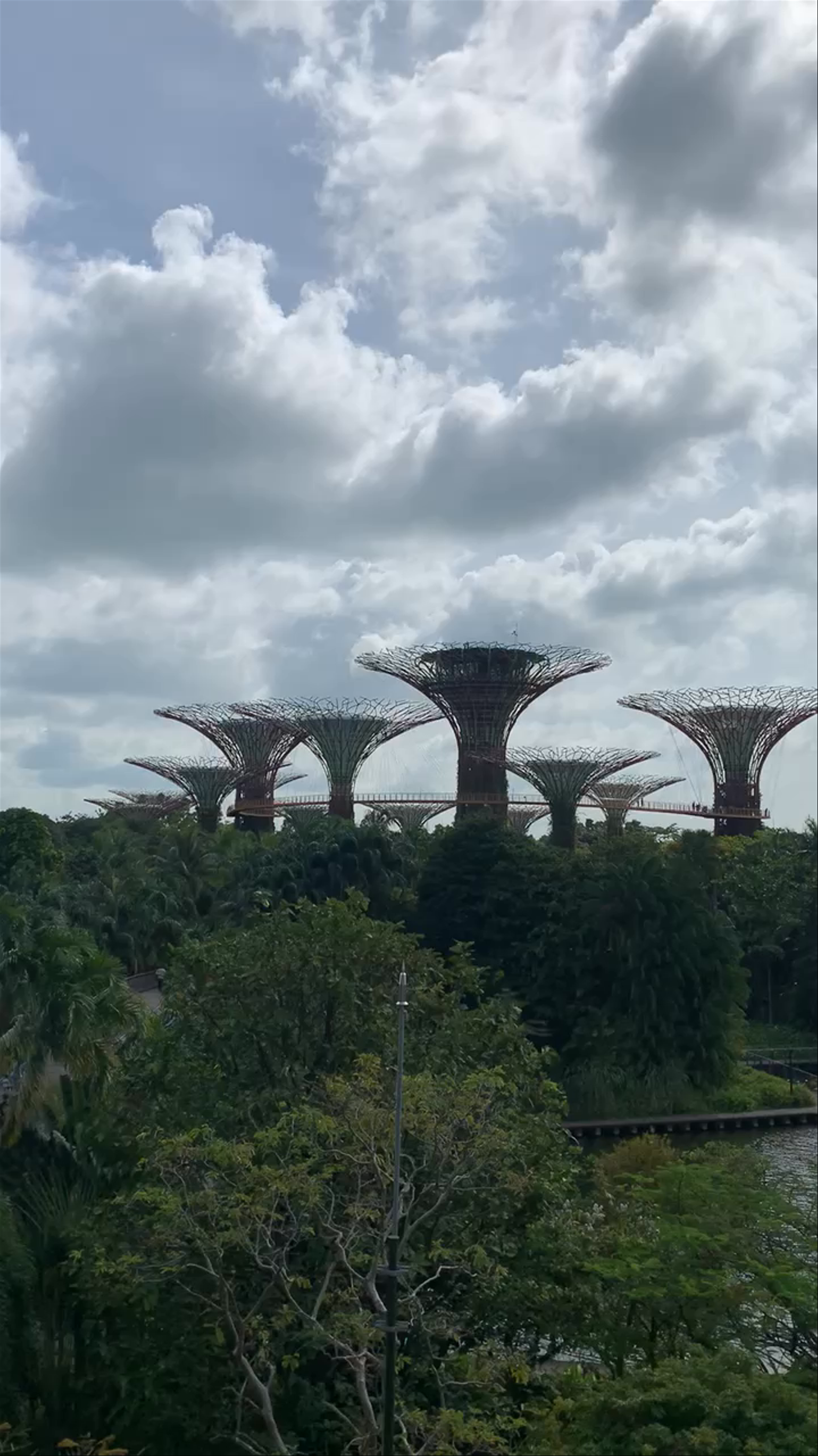 Marina Gardens Drive