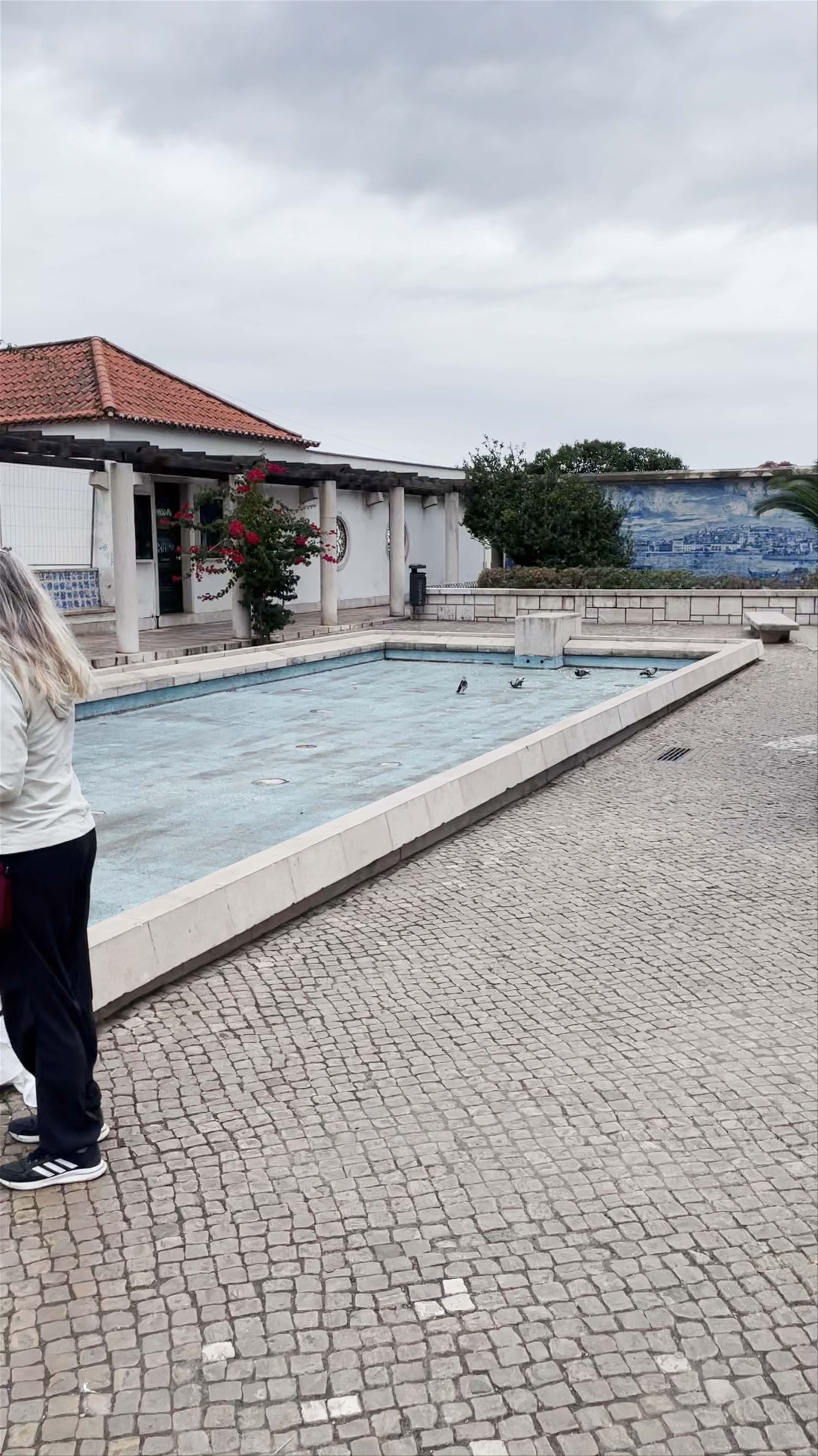 Praça Júlio de Castilhos - Rua 24 de Outubro - Moinhos de Vento