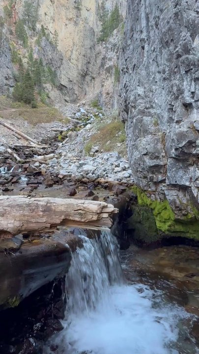 Bridger- teton Intermiten Springs - Hiking Near Me - Afton, Wyoming