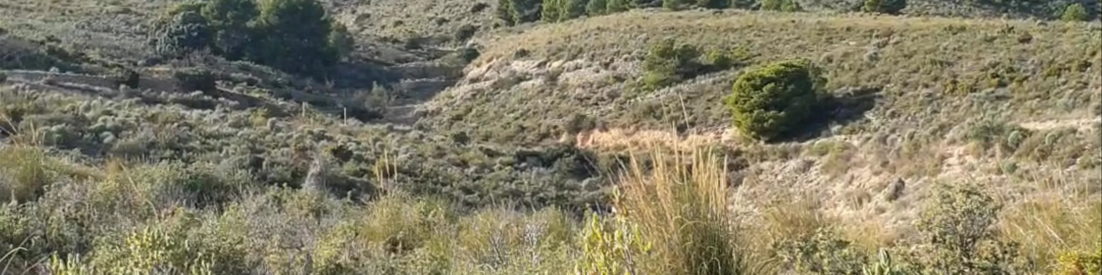 Penya Migjorn