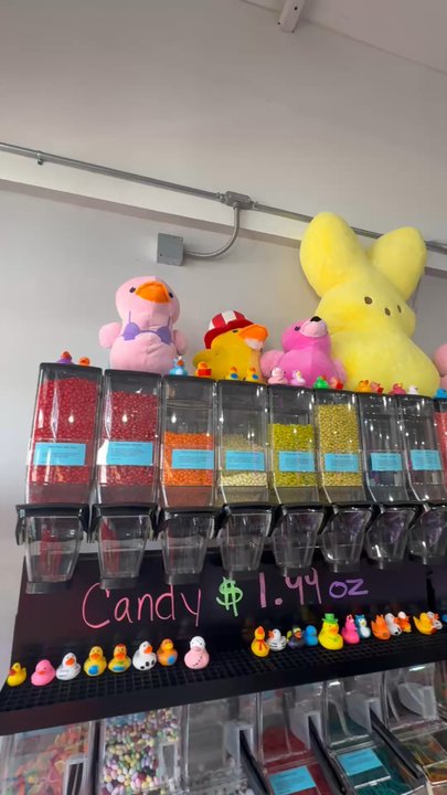 KetchiCandies - Huge selection of chocolates and candy. Loved the rubber duckies! - Chocolatiers & Shops Near Me - Ketchikan, Alaska