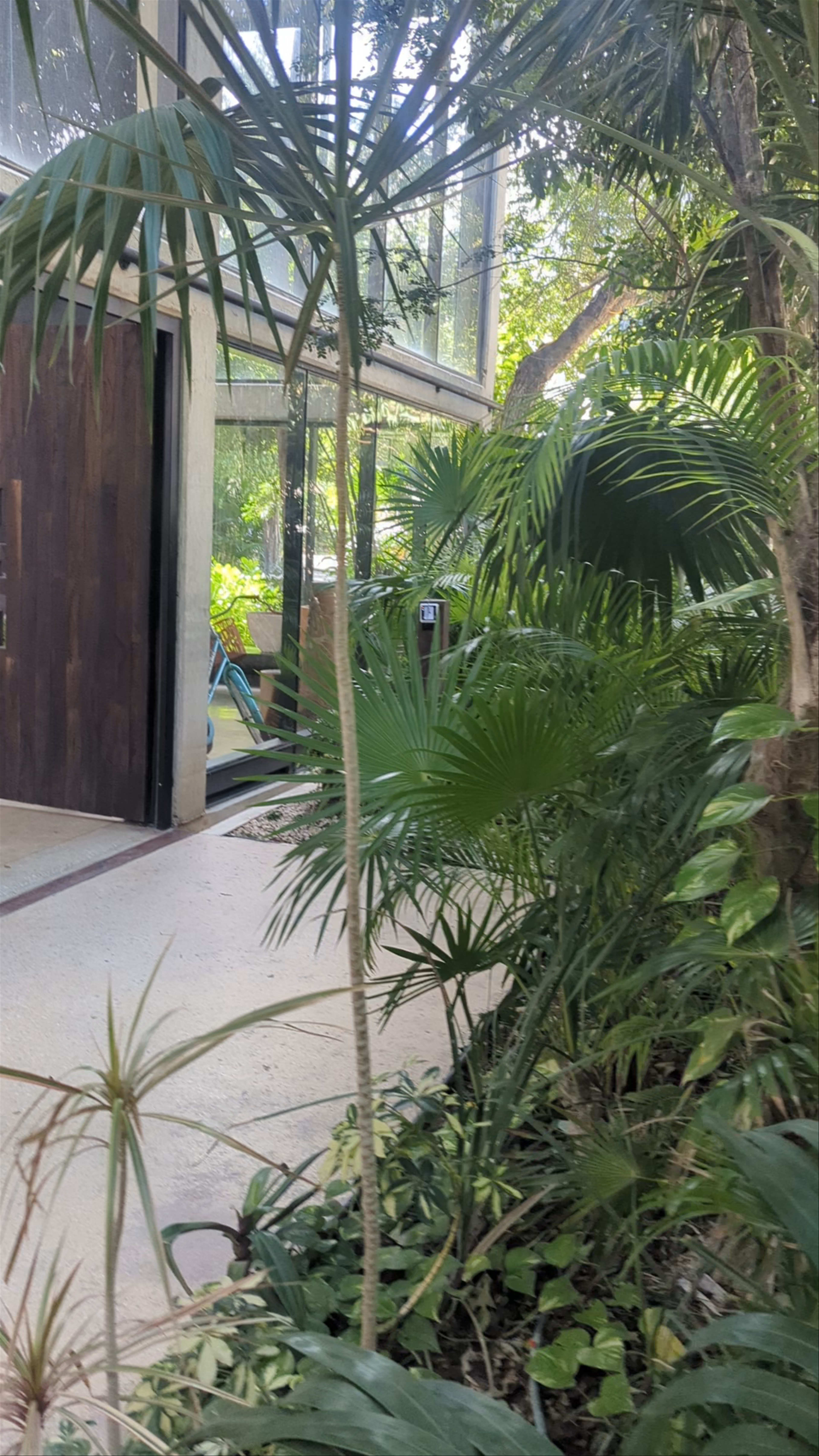 IIK Tulum - Serene Jungle Retreat in Quintana Roo