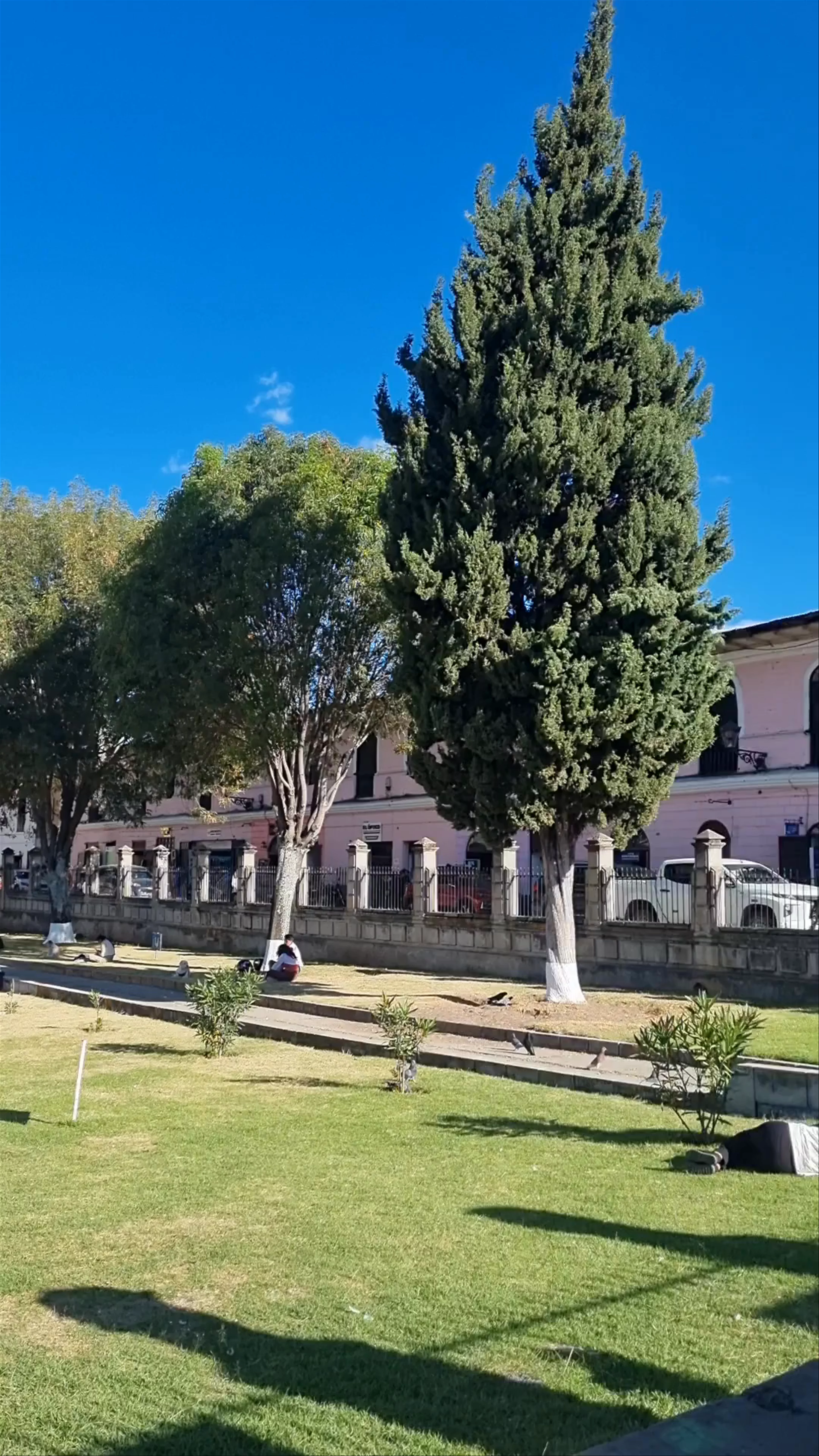 Iglesia San Francisco de Asís