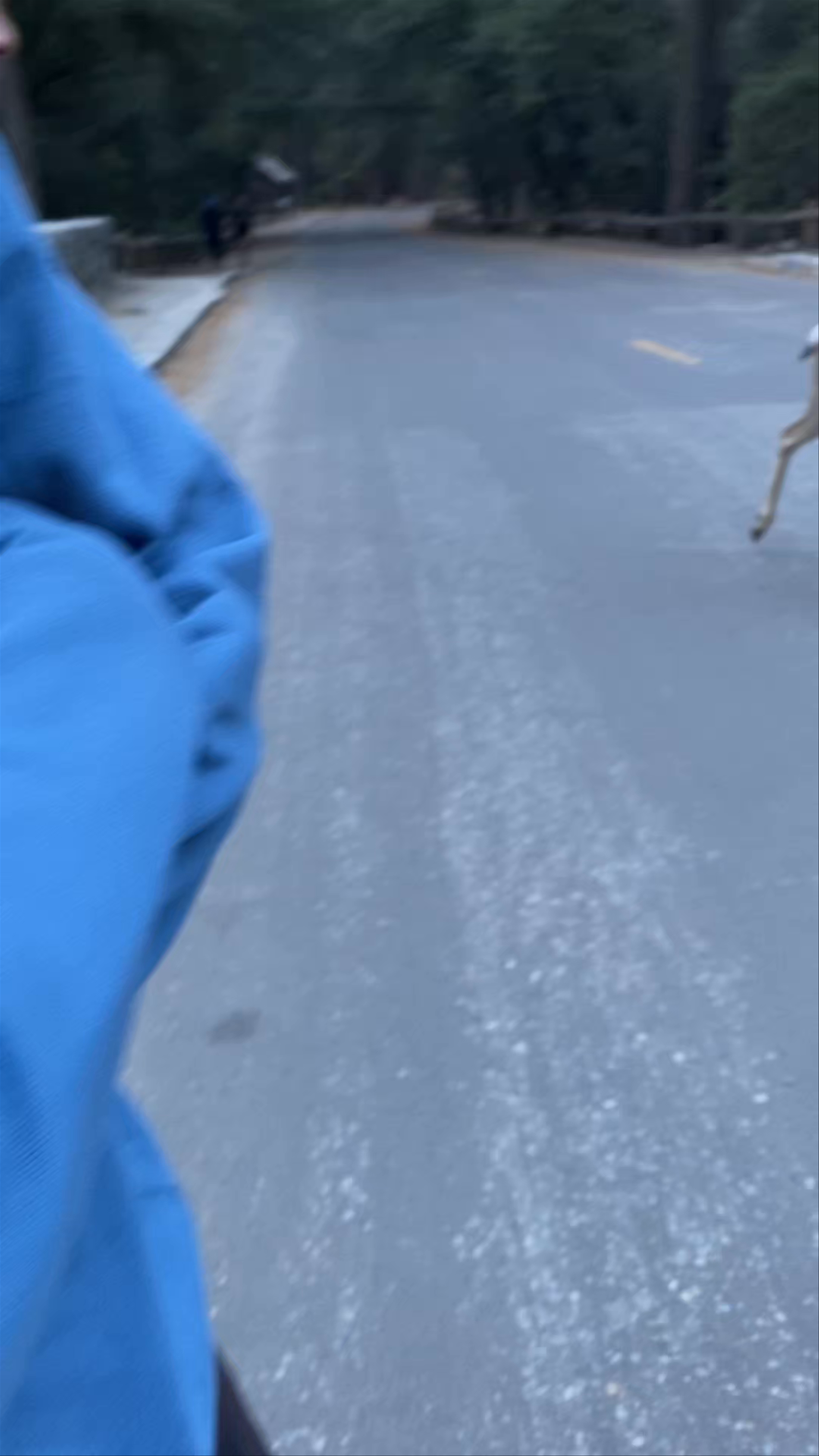 Encountering Deer on Mist Trail & John Muir Trail Trailhead, Yosemite
