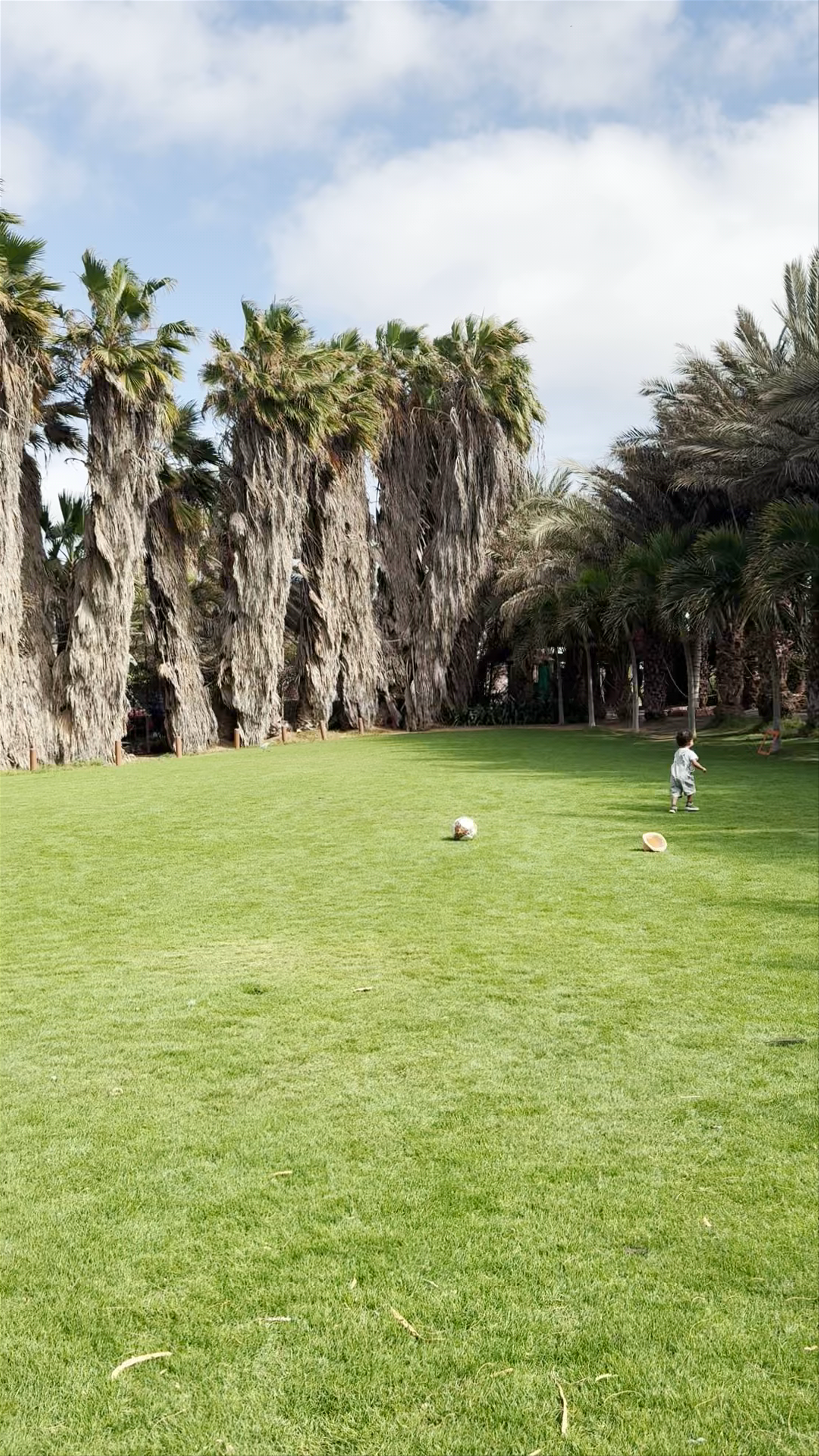 Pachamama Eco Park - Viveiro Botanical Garden