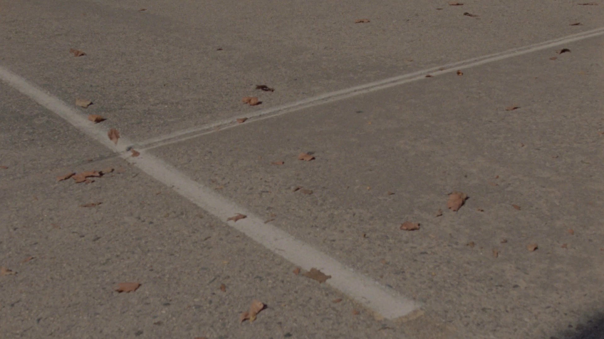 Carhartt WIP Precious Skate Film