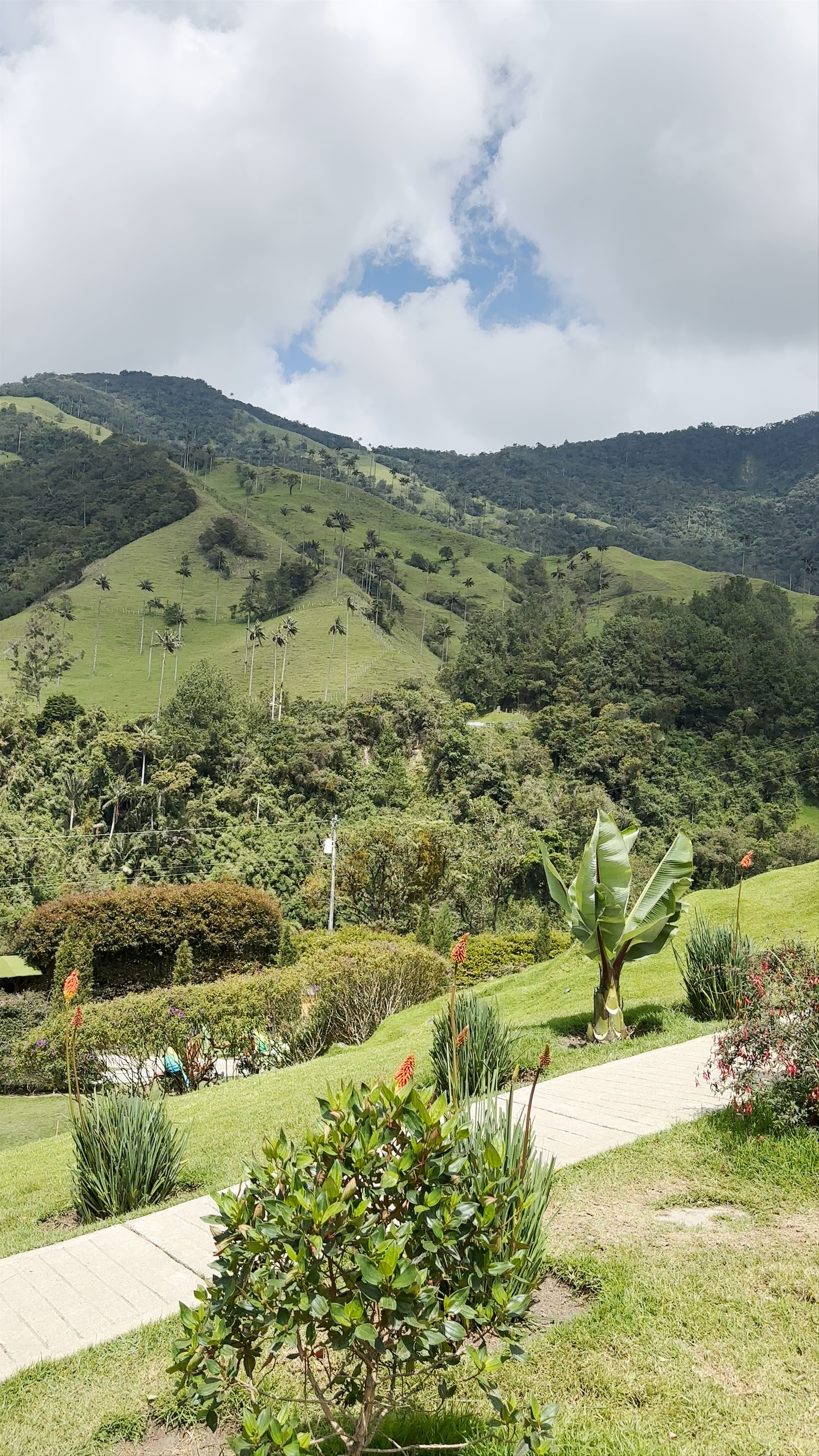 Letrero Valle del Cocora: Scenic Beauty in Salento, Colombia
