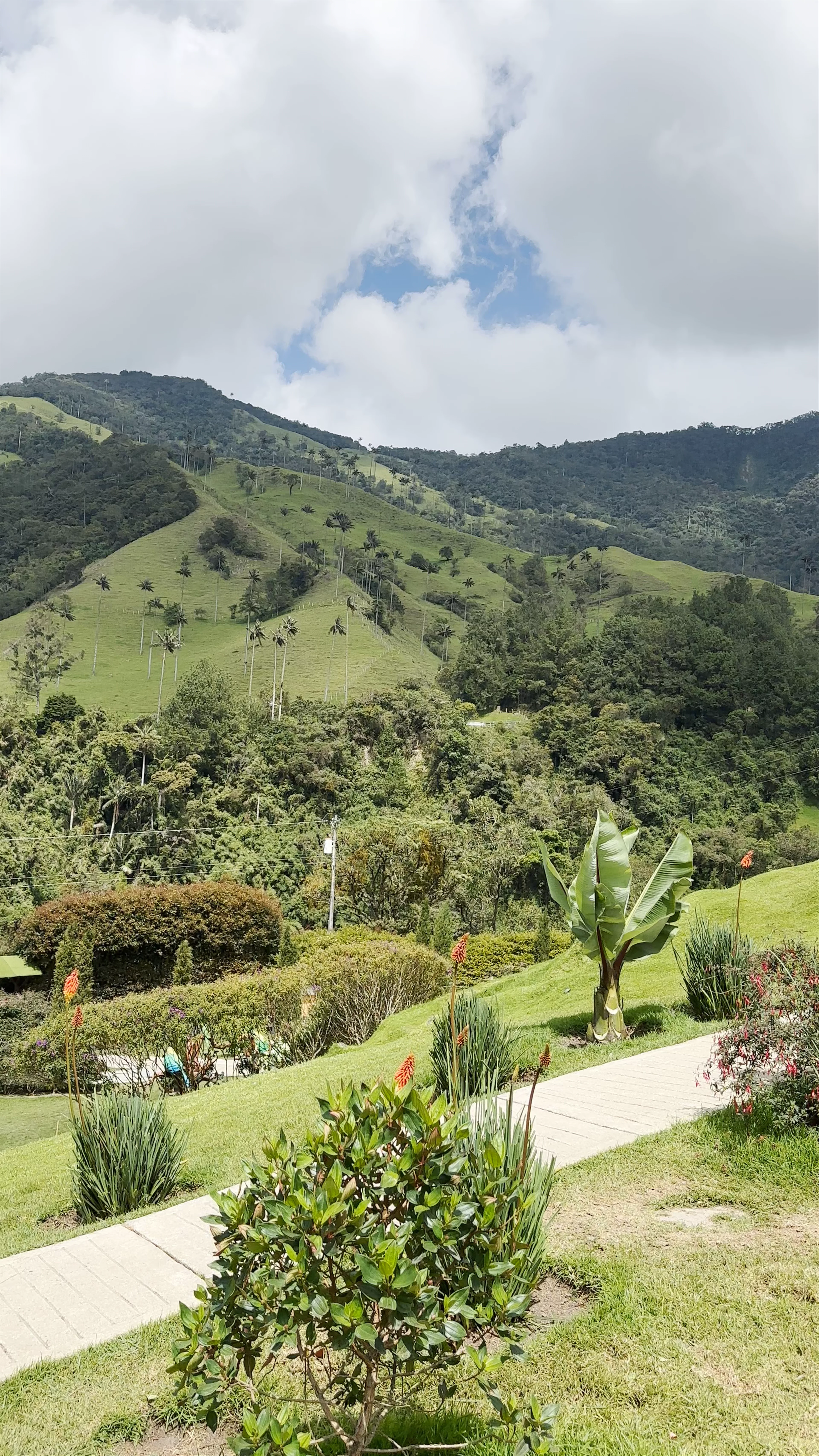Letrero Valle del Cocora