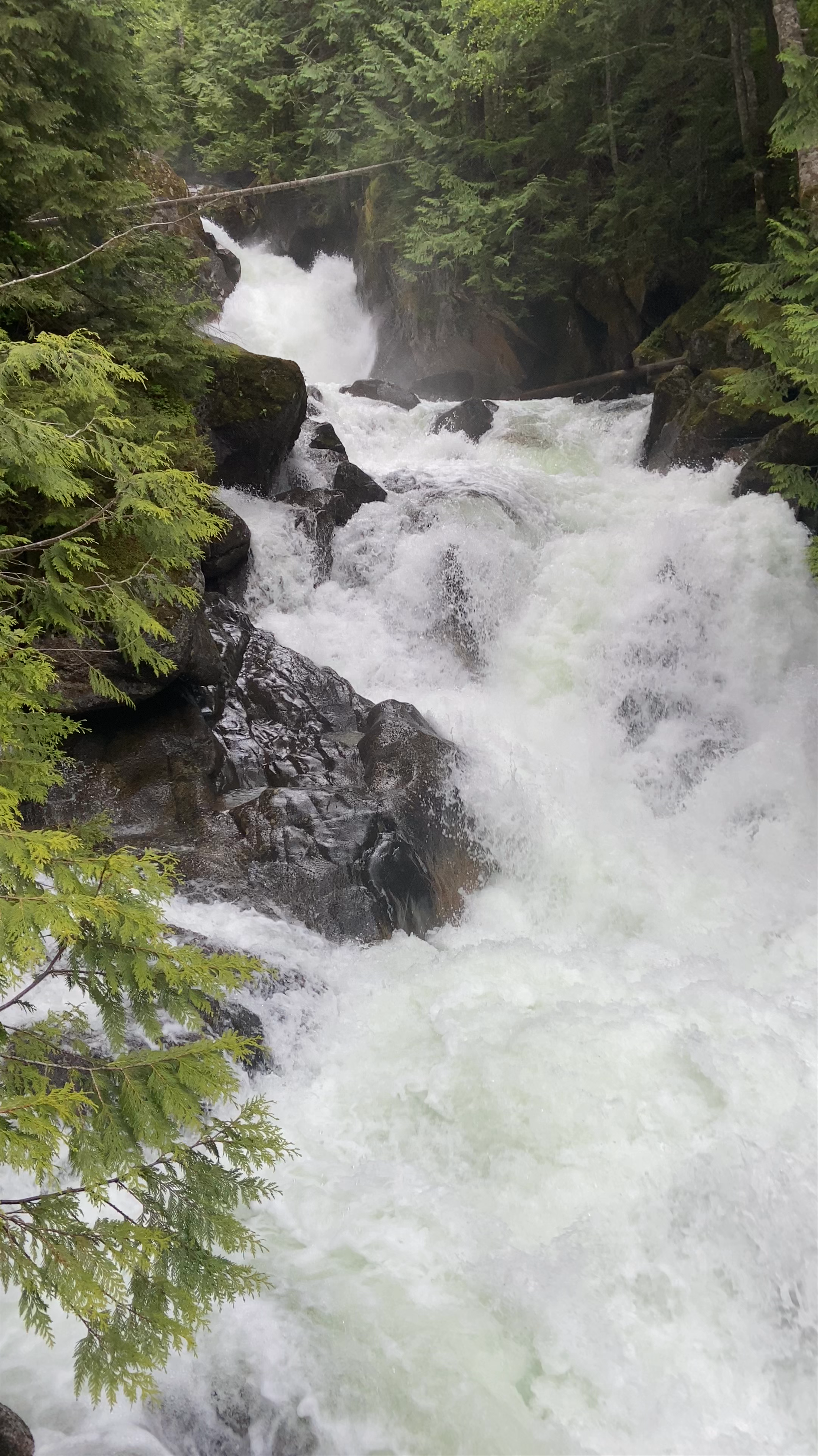 Deception Falls, Skykomish