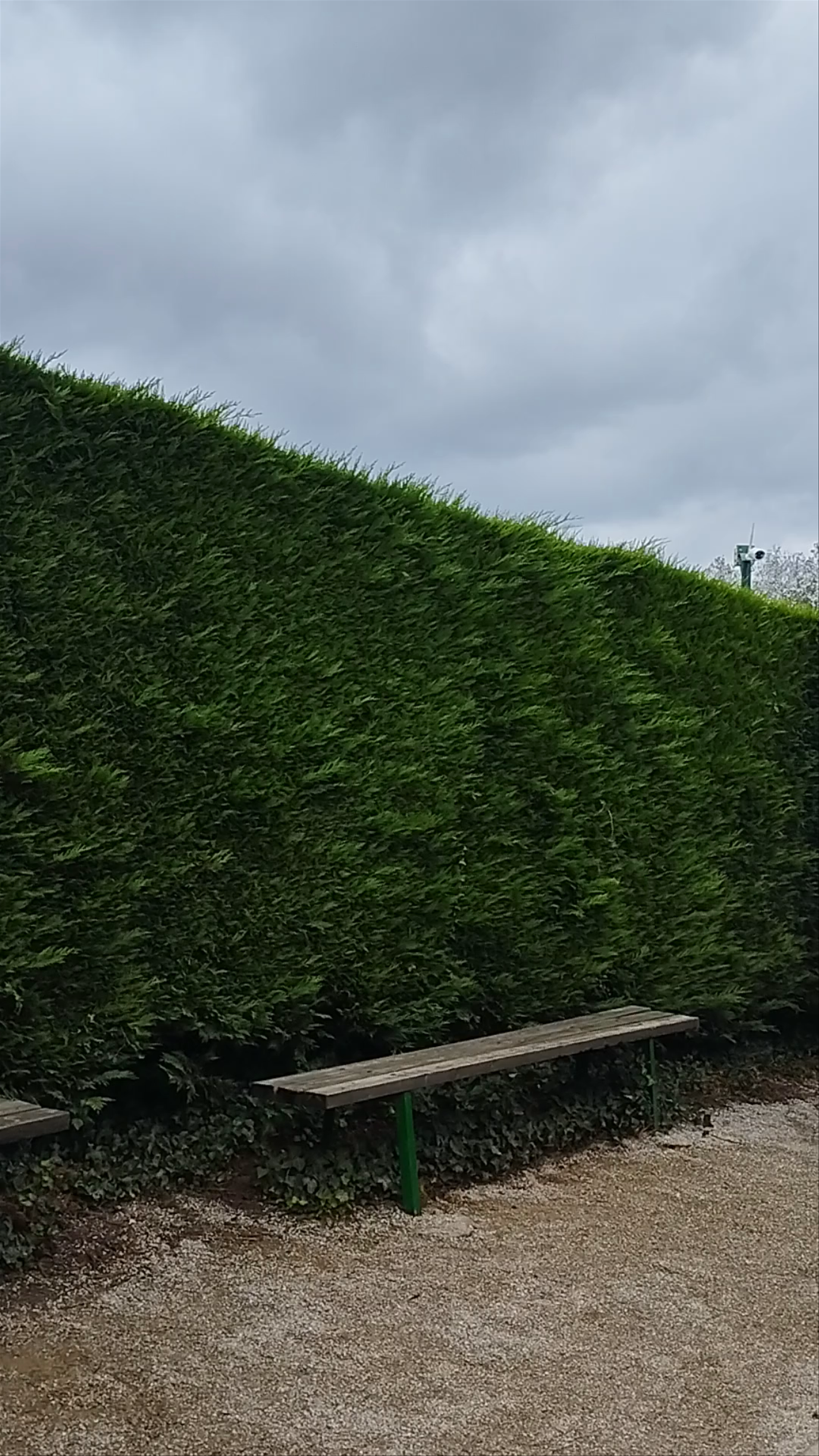 Laberinto de Villapresente: Explore the Mystical Hedge Maze in Cantabria