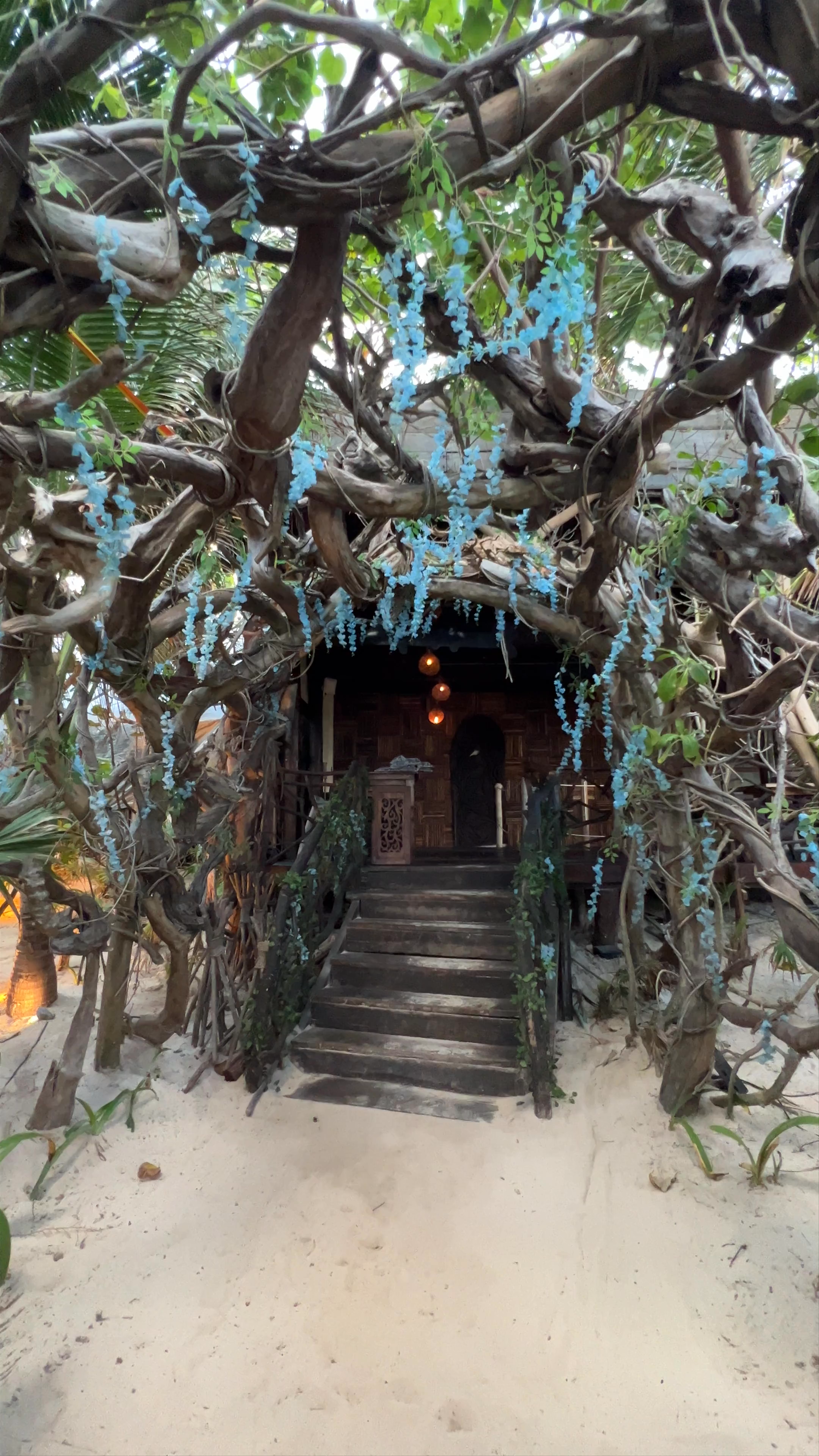 Mia Restaurant & Beach Club: Enchanting Tropical Hideaway in Tulum