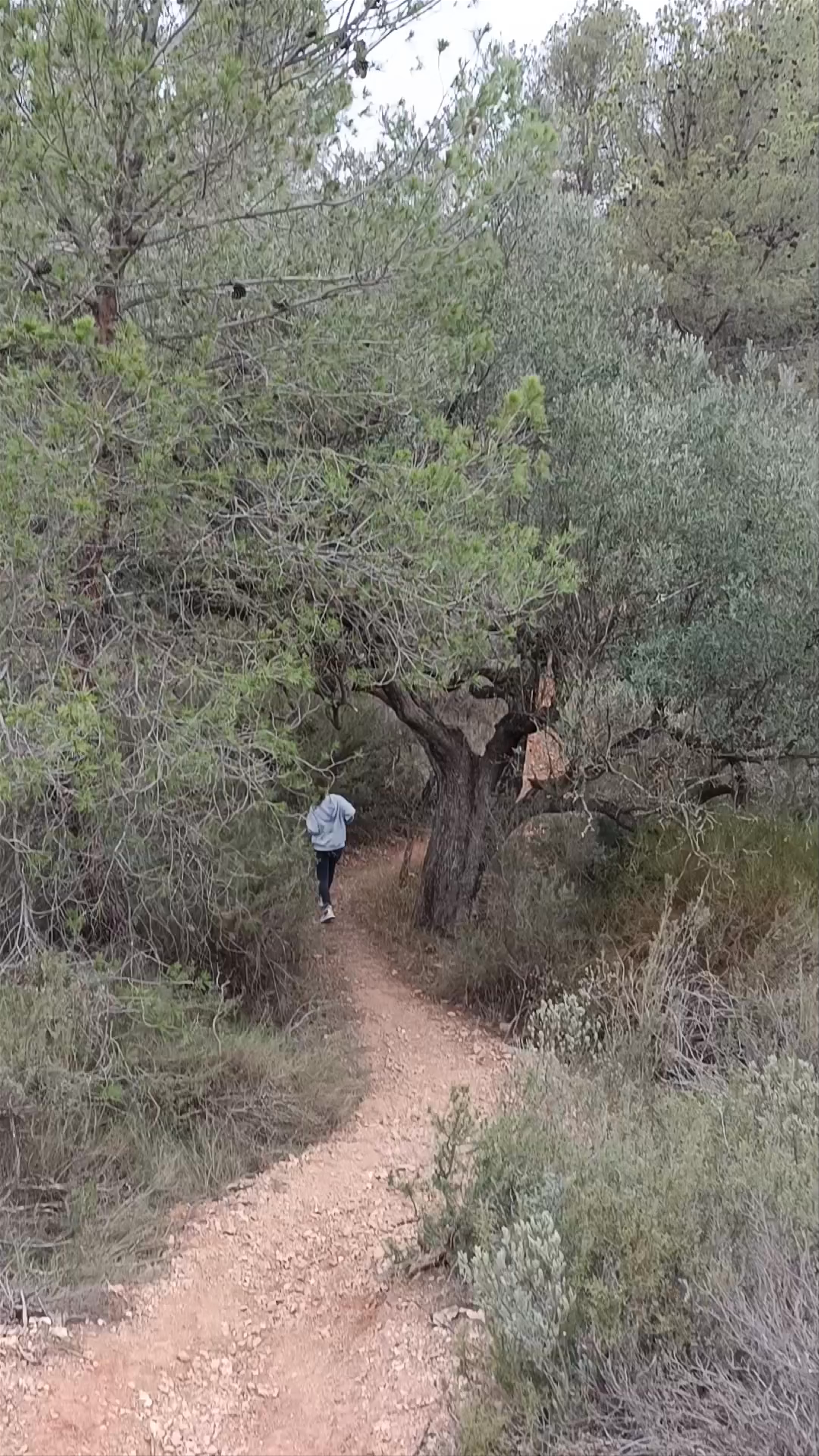 Sierra Espuña desde La Santa