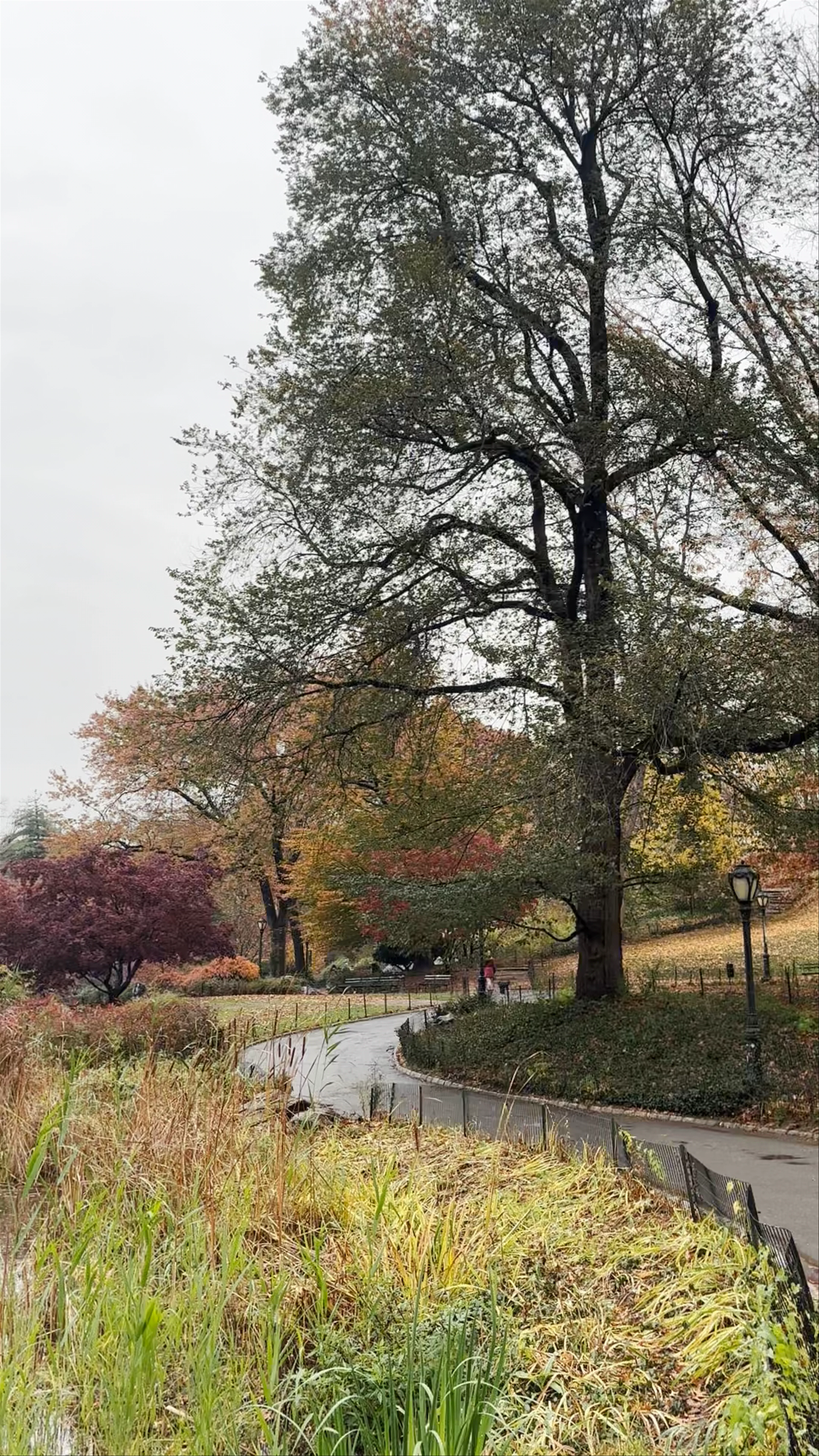 The Pond at Central Park