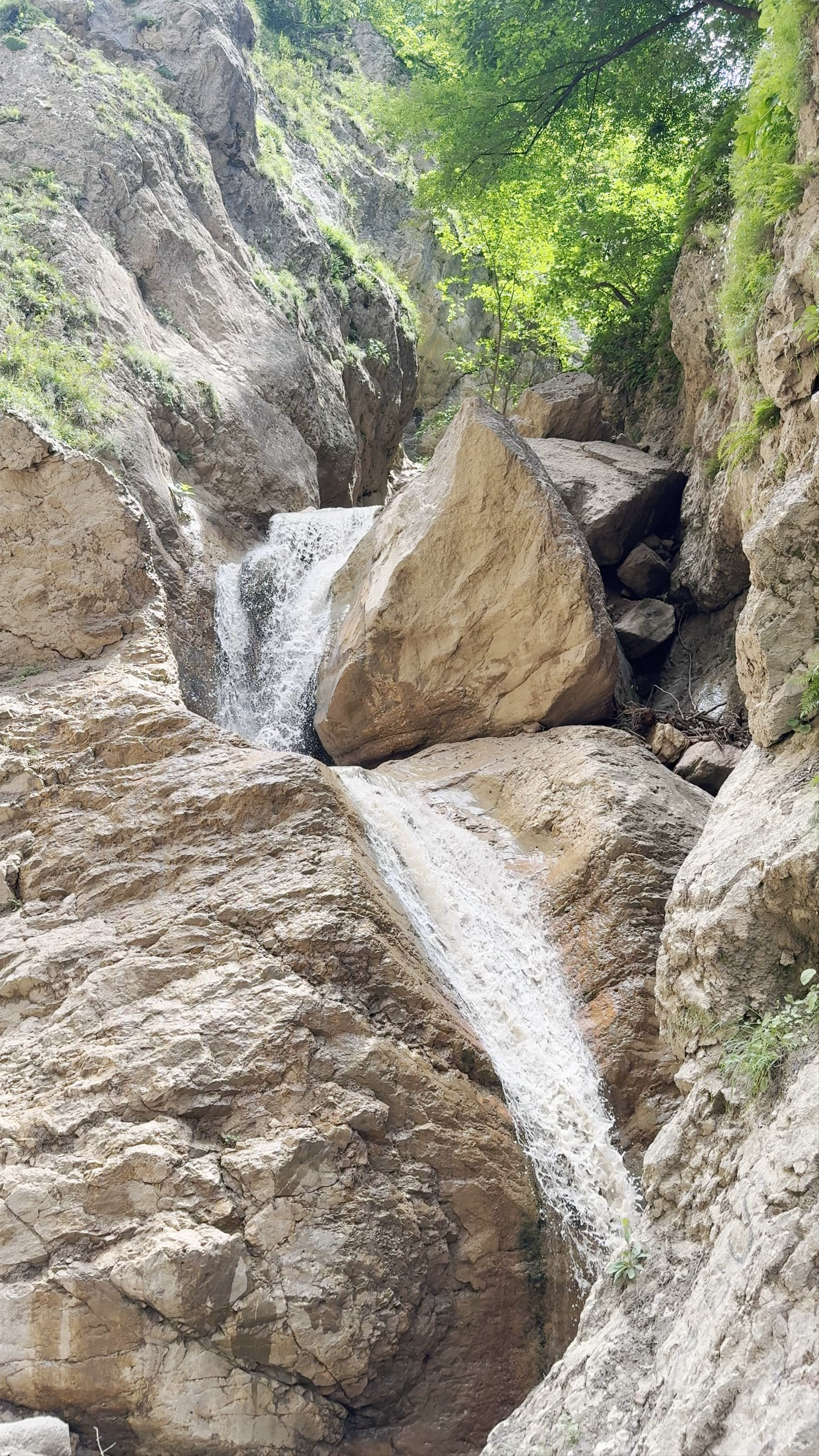 نهر كاتس رش River Kats Rash