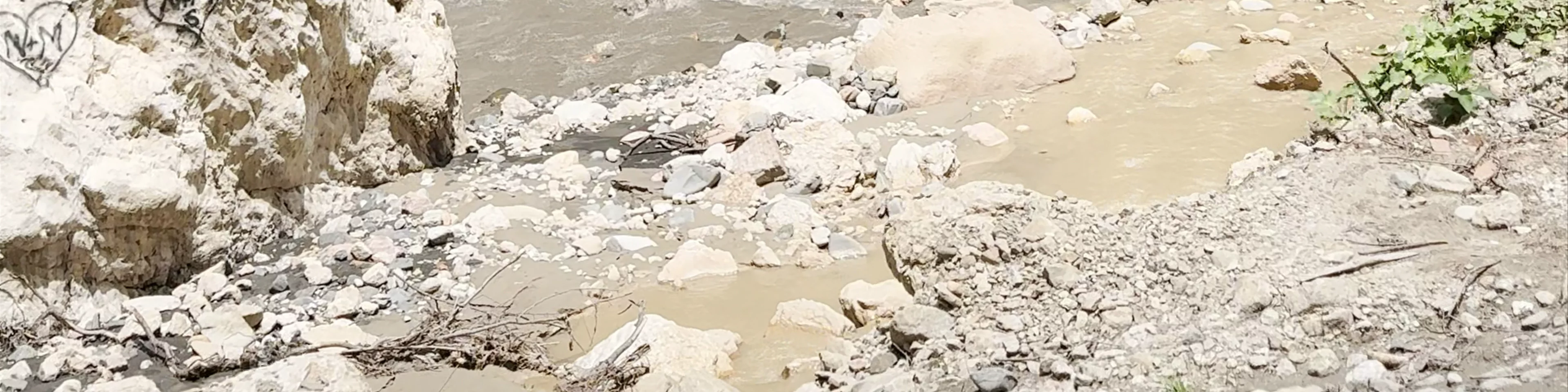 نهر كاتس رش River Kats Rash