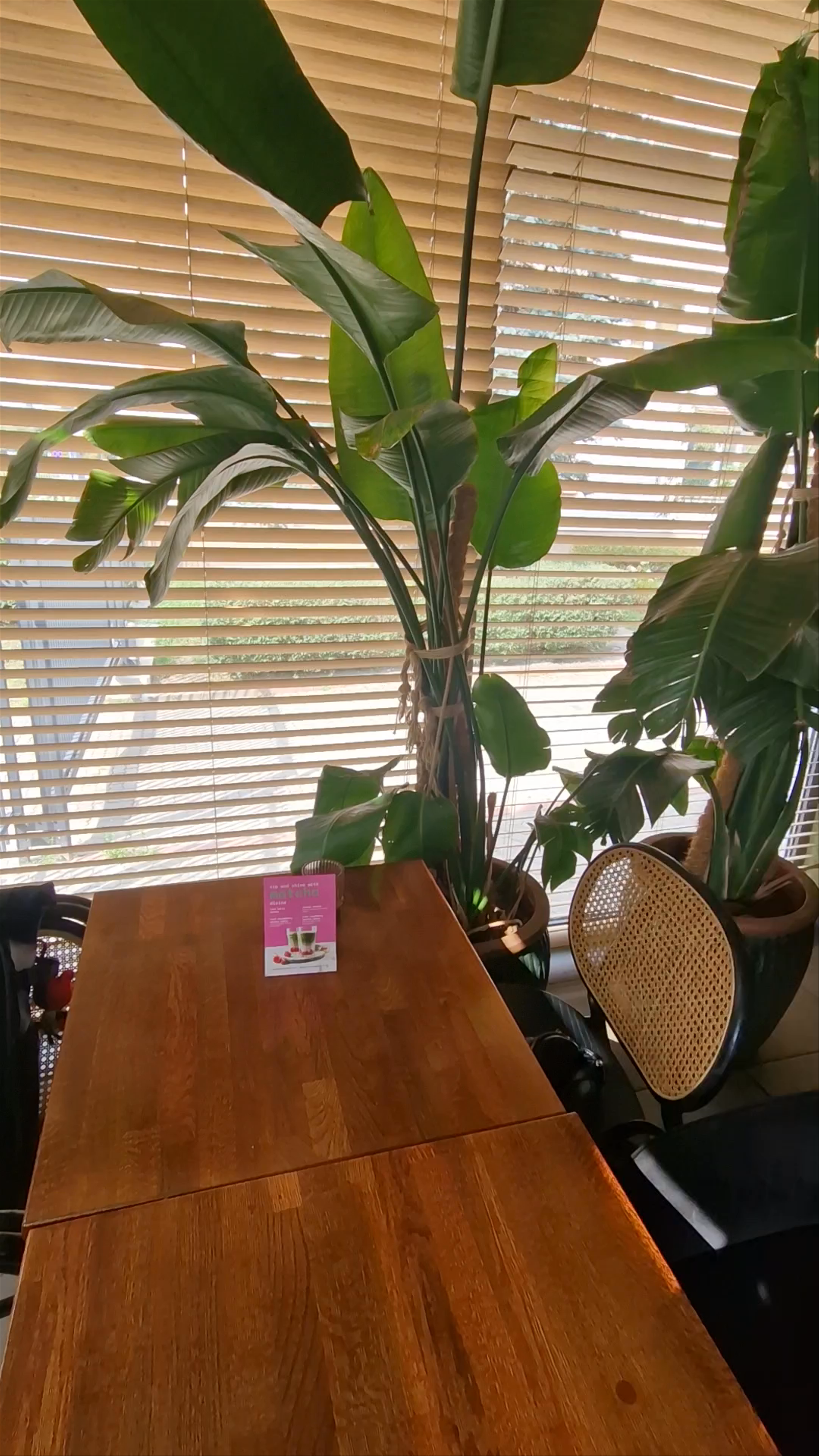 PINK VEGAN