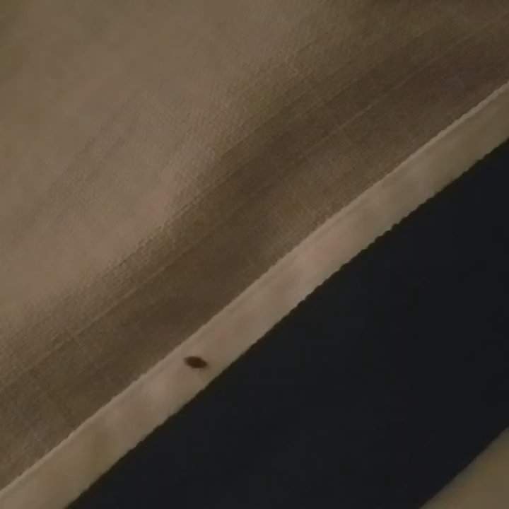 Northern Lights Casino - Bed bug coming out of sheet - Casinos Near Me - Walker, Minnesota