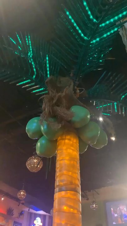 Coco Bongo - It's the vaca ambiance for me ! - Mexican Near Me - Raleigh, North Carolina