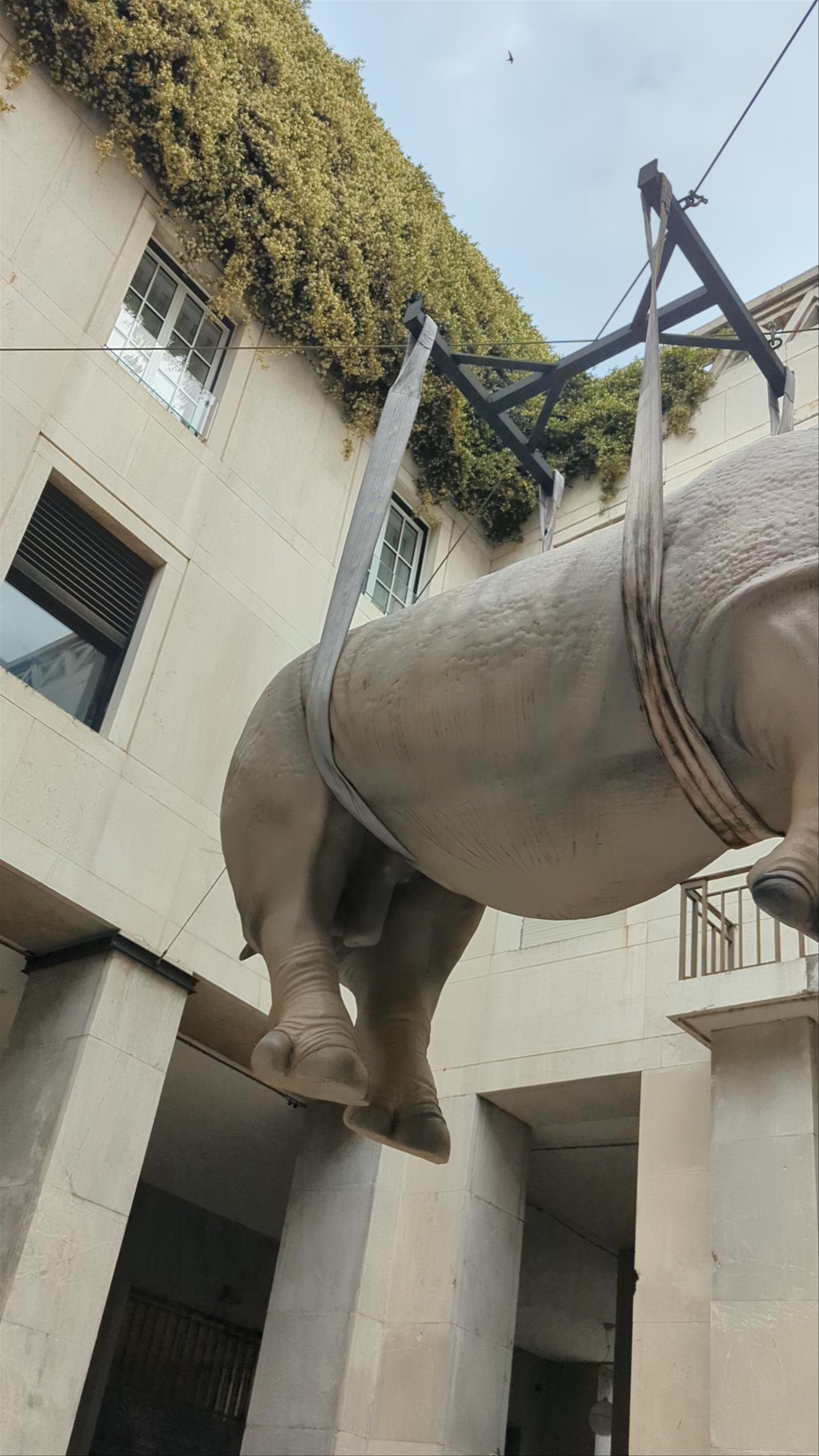Rinoceronte di Piazza Vittoria