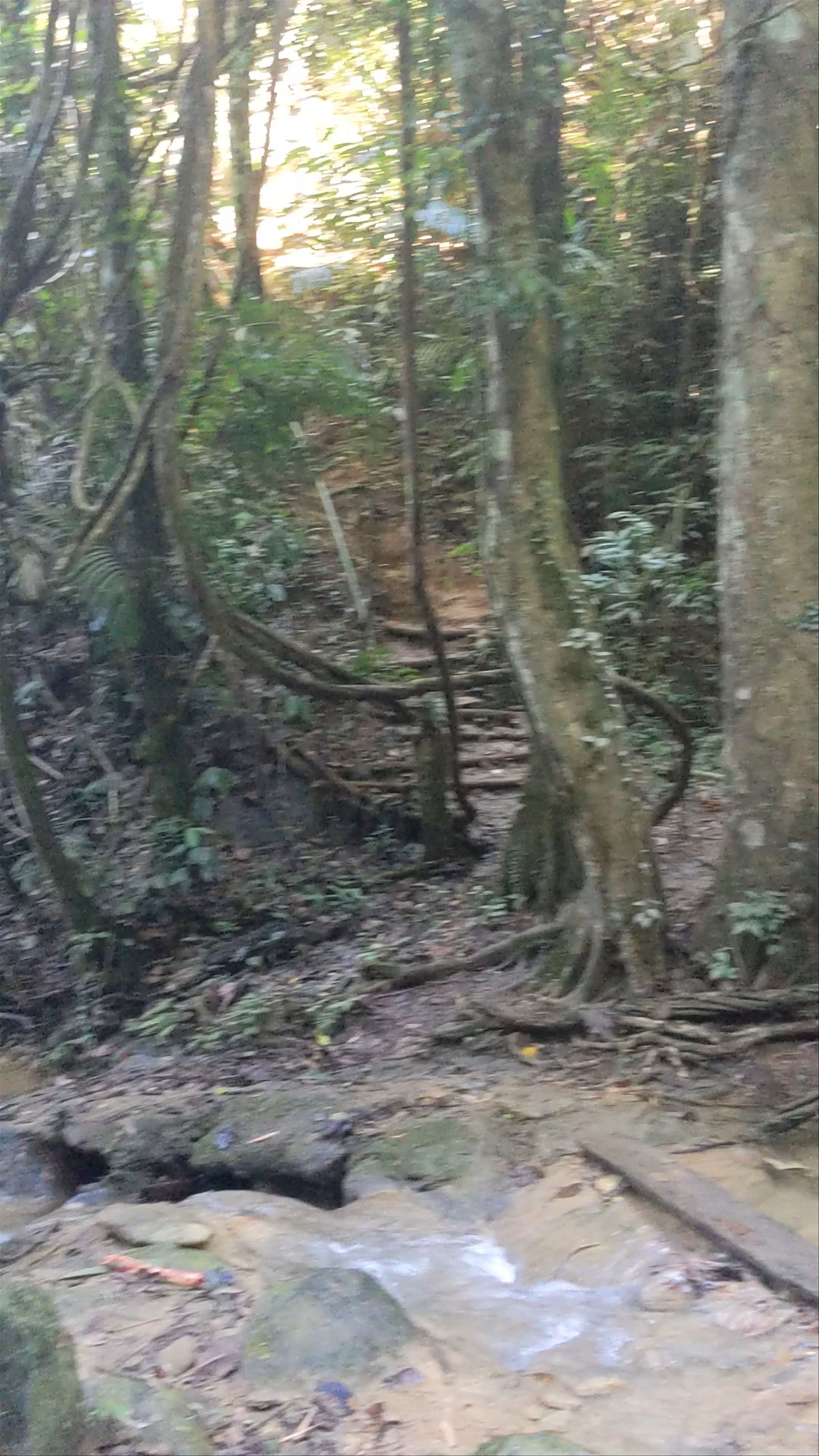 Tad Mook Waterfalls