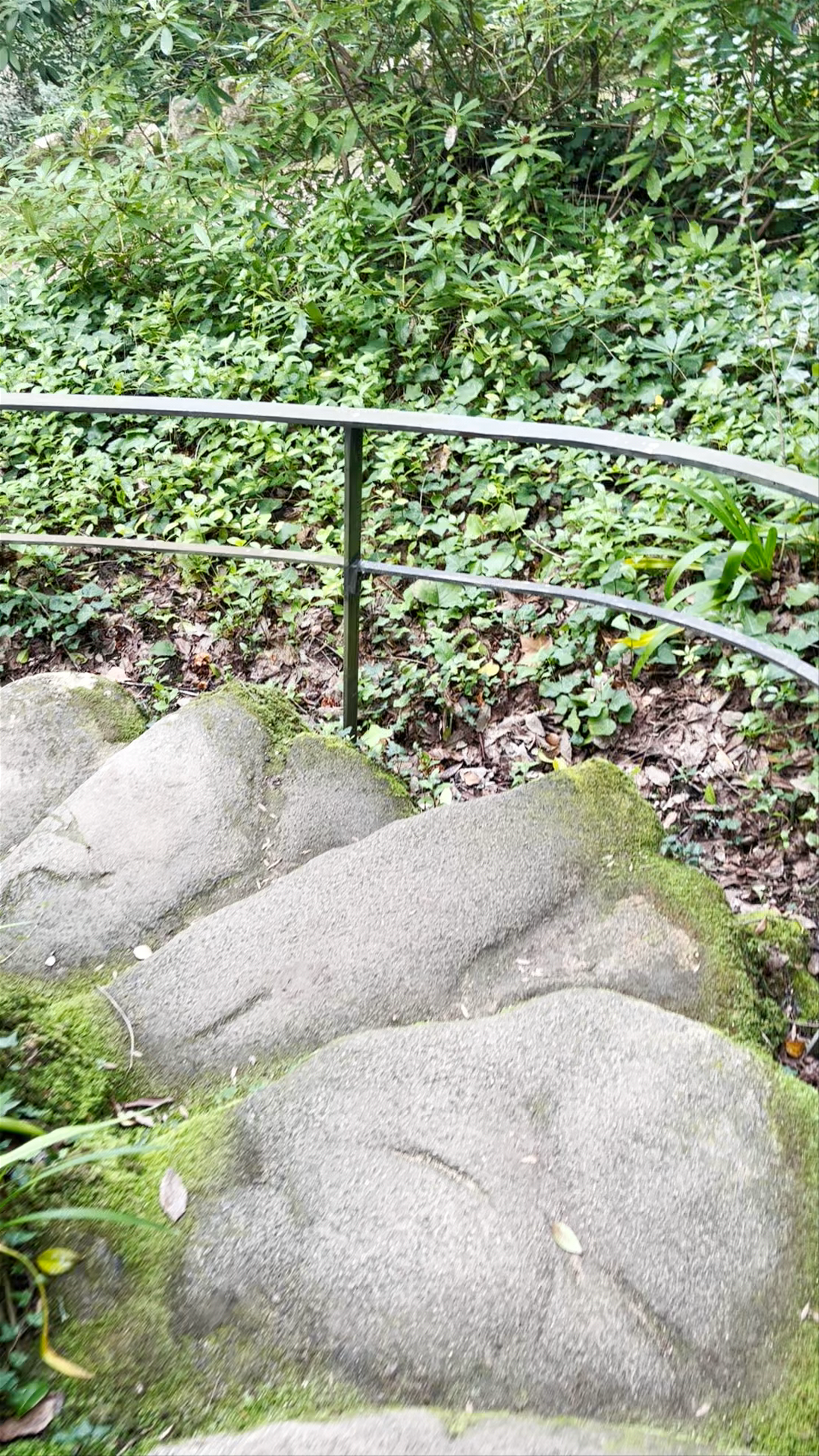 Parques de Sintra-Monte da Lua (PSML)