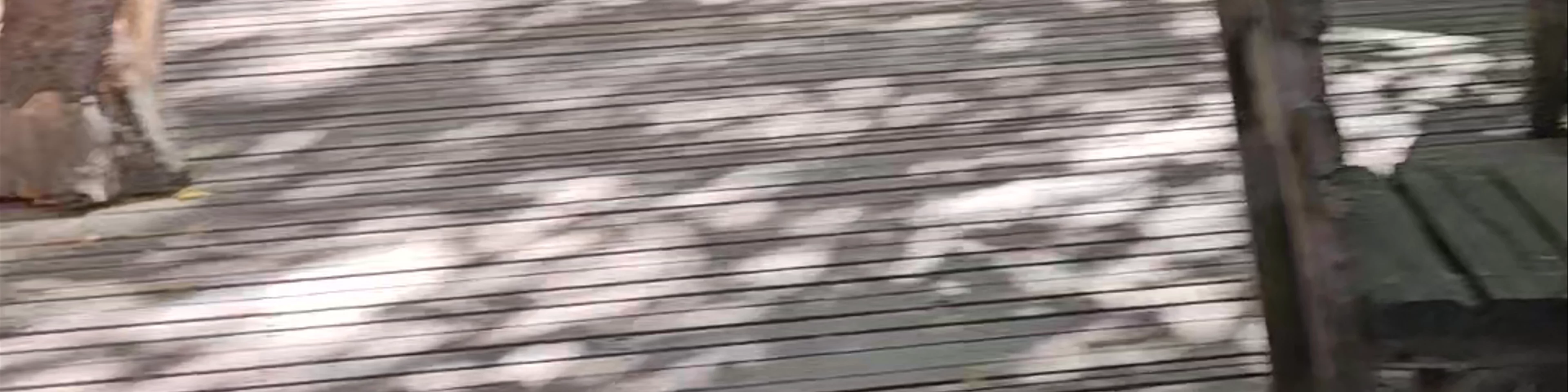 The Treehouse Restaurant