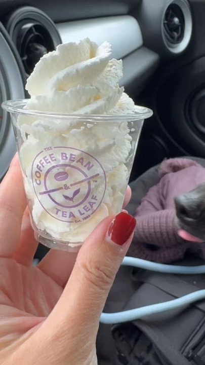 The Coffee Bean & Tea Leaf - Don't forget a pup cup for your dog when you order! I did, but the associates were so kind and gave Darby one when I asked at the window. - Coffee & Tea Near Me - Long Beach, California