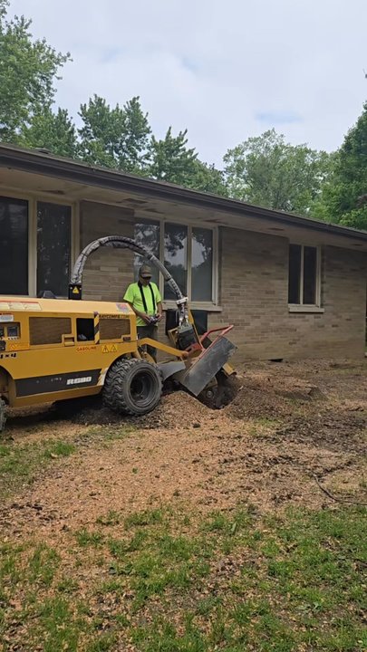 JOE’S DISCOUNT TREE & STUMP SERVICE - Updated May 2026 - 43 Photos & 11 ...