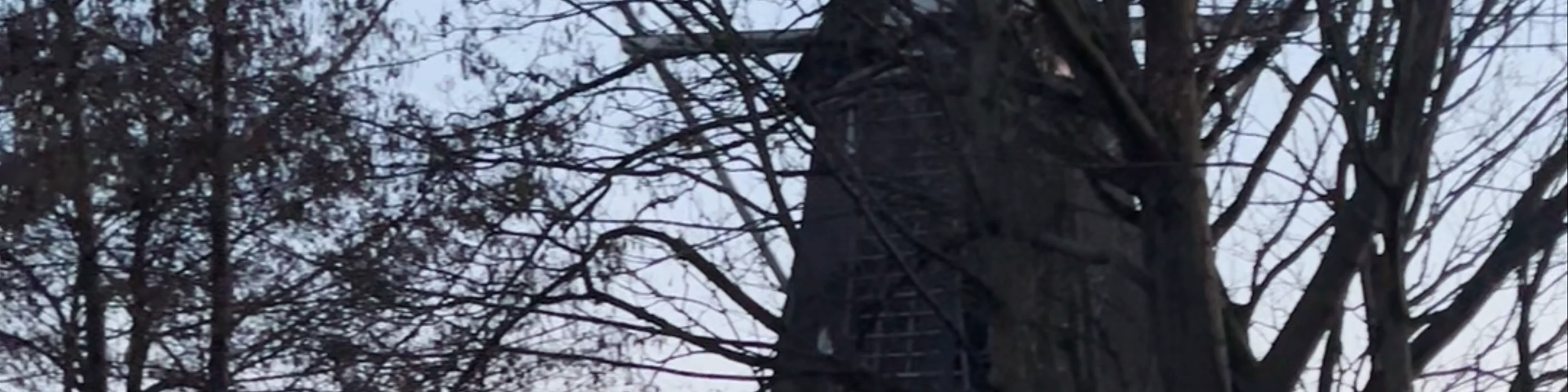 Molen de Ster
