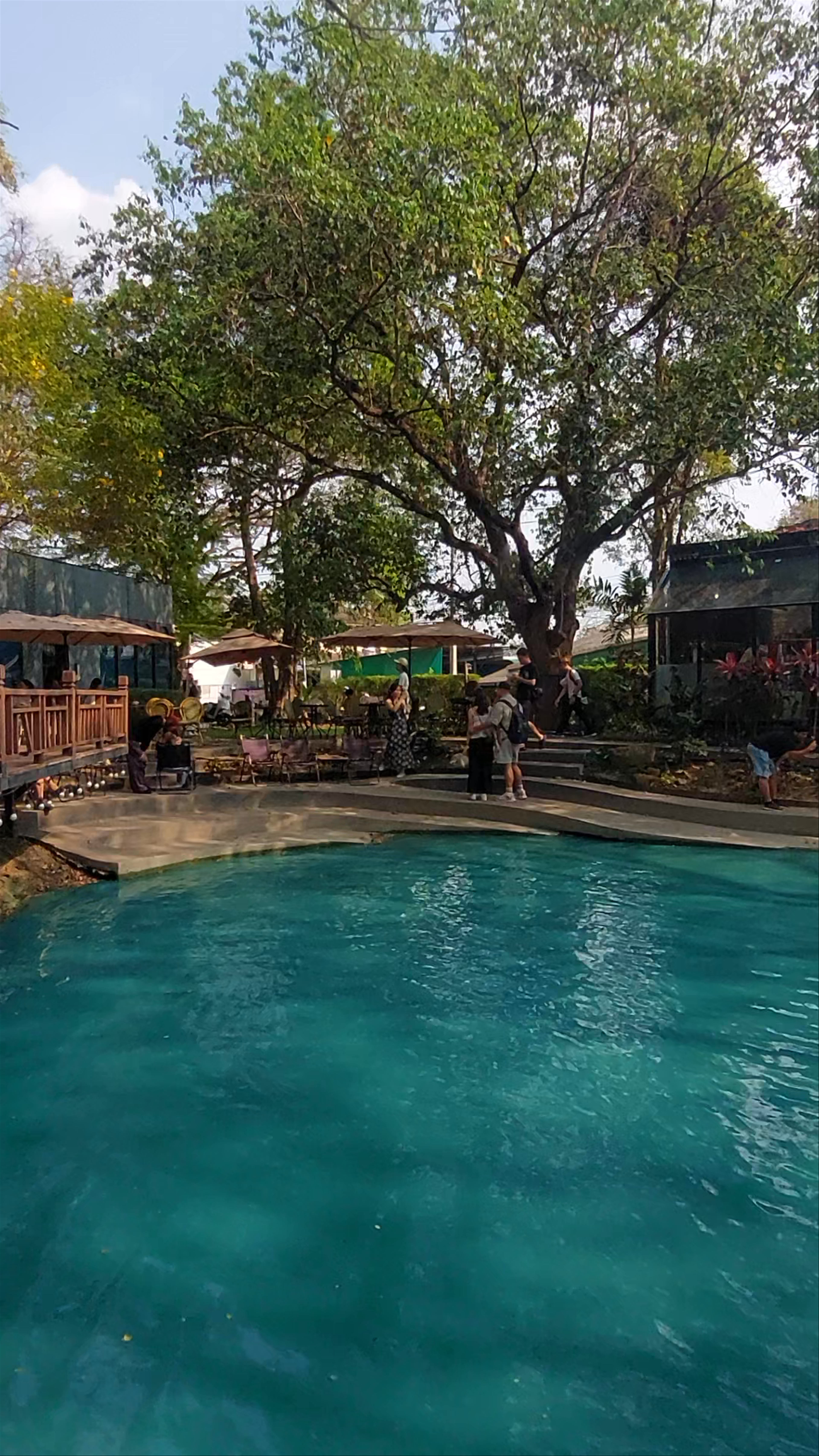 No.39 Cafe: Serene Oasis in Chiang Mai
