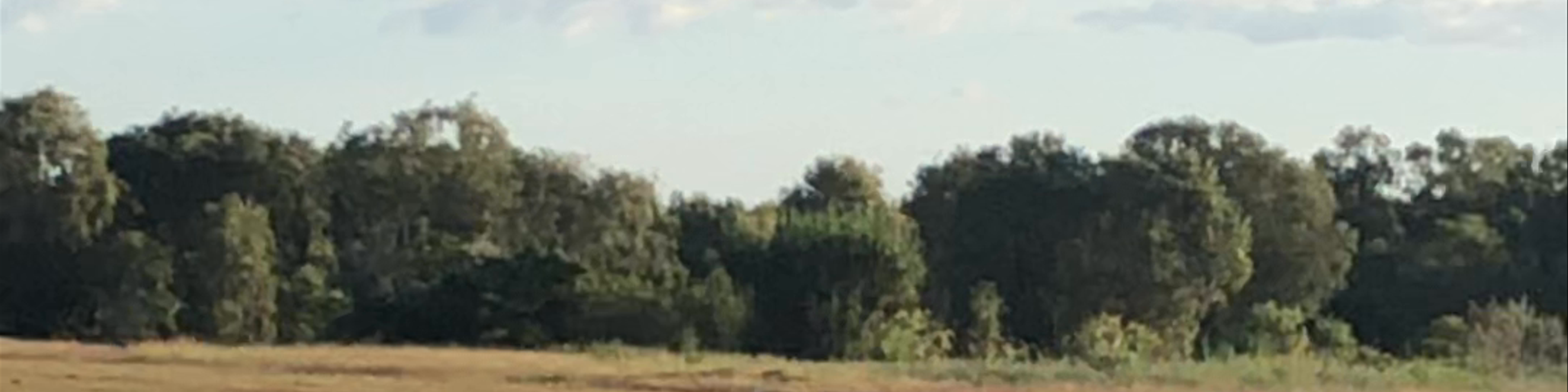 Marrakai