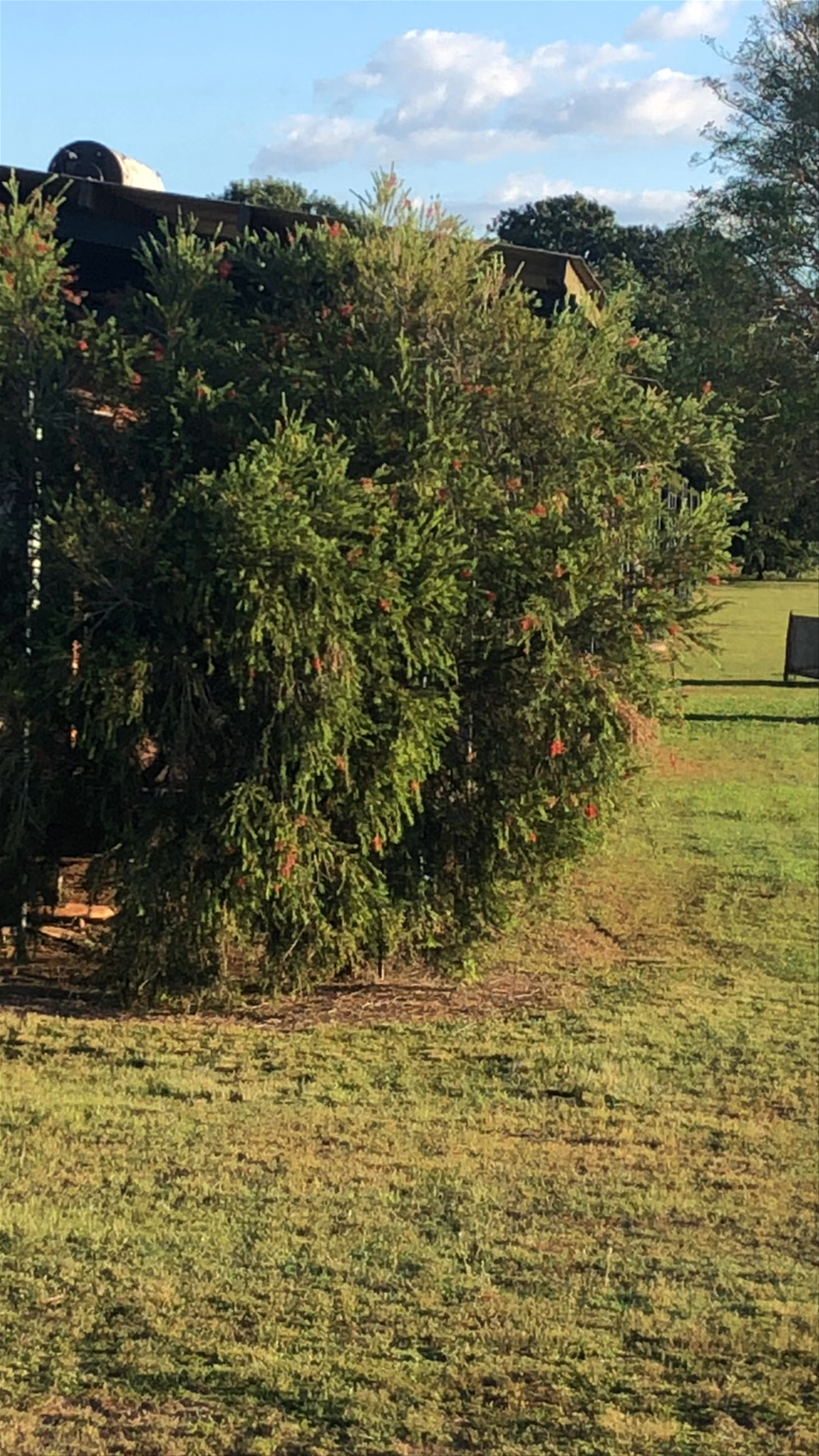 Mary River National Park