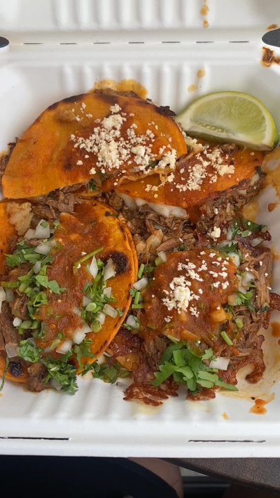 Birria-Landia - Food Trucks Near Me - Brooklyn, New York