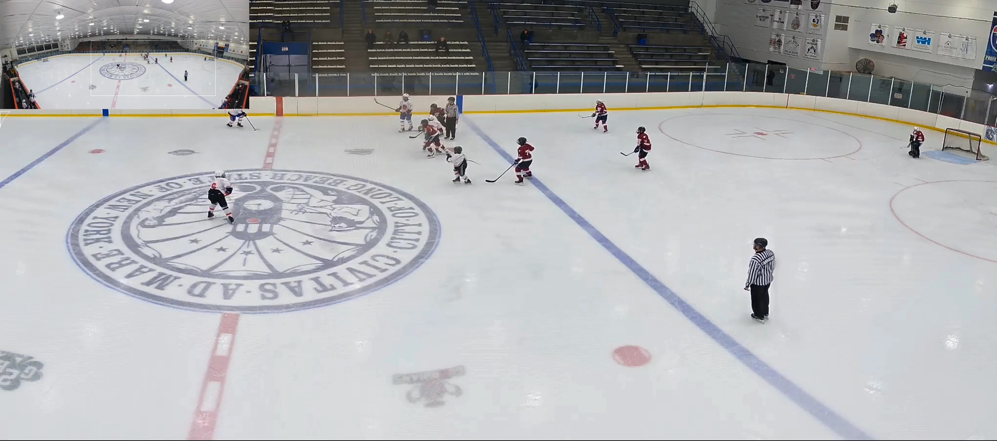 Maximilian Hsu's Stunning Backhand Goal | Long Island Gulls 14U AAA
