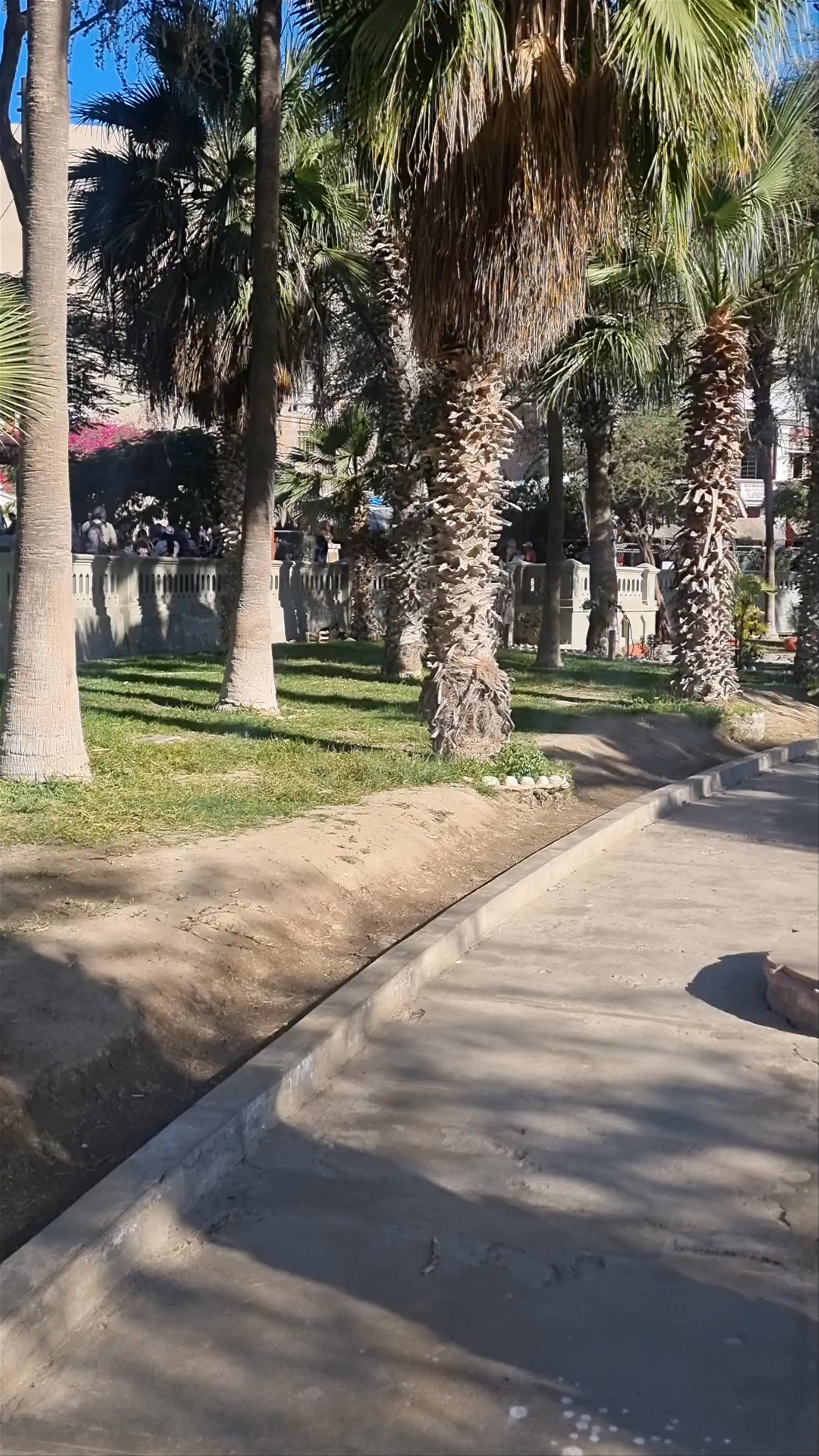 Huacachina Oasis