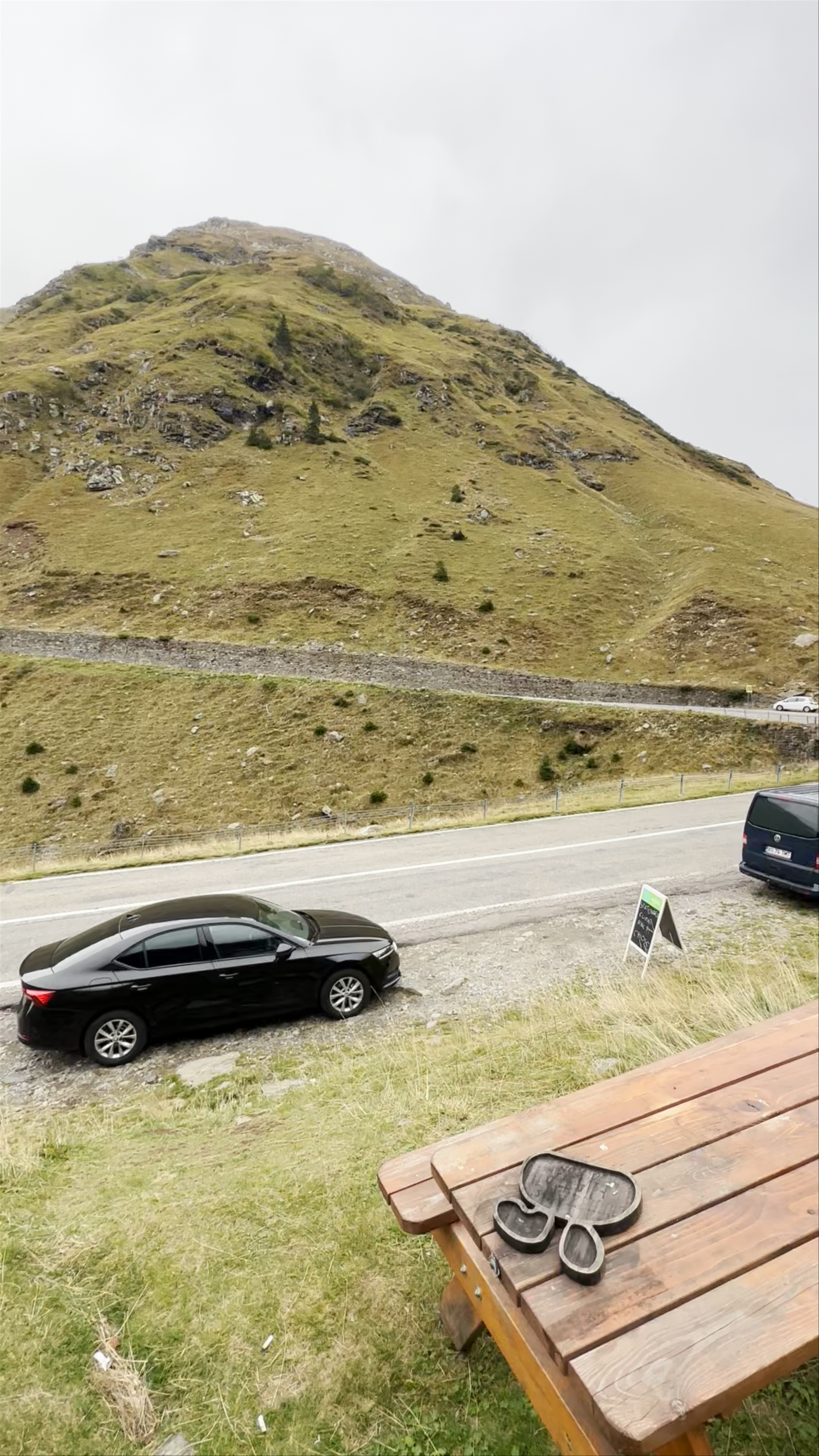 Magarusii prietenosi de pe Transfagarasan