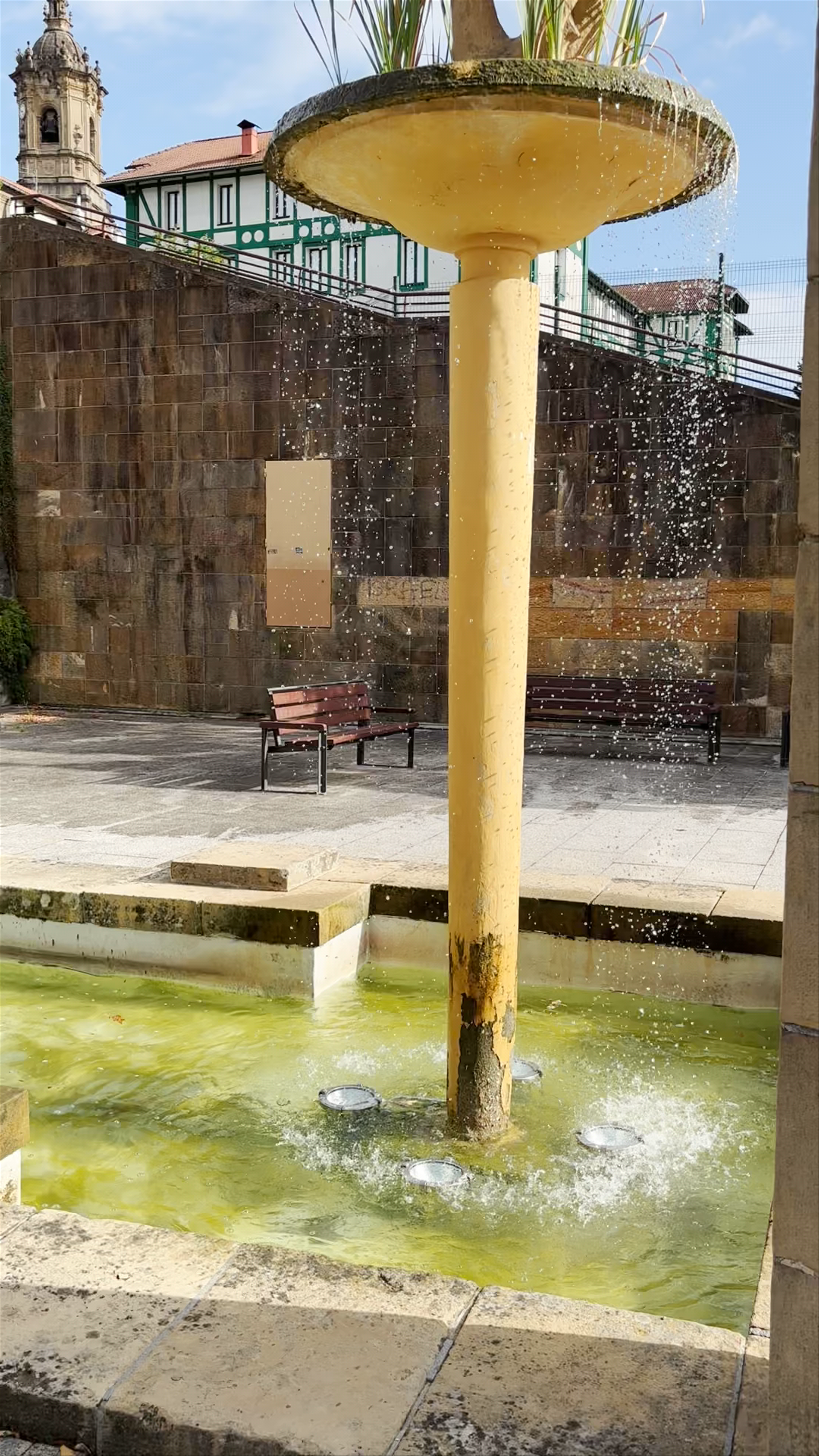 El Oso y el Madroño (José Díaz Bueno, 1955)