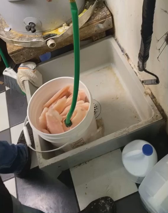 Boomarang - mob water in da fish yall nasty for this one of the employees linked this n said that doris told em to do it they dump feces to - Diners Near Me - Choctaw, Oklahoma
