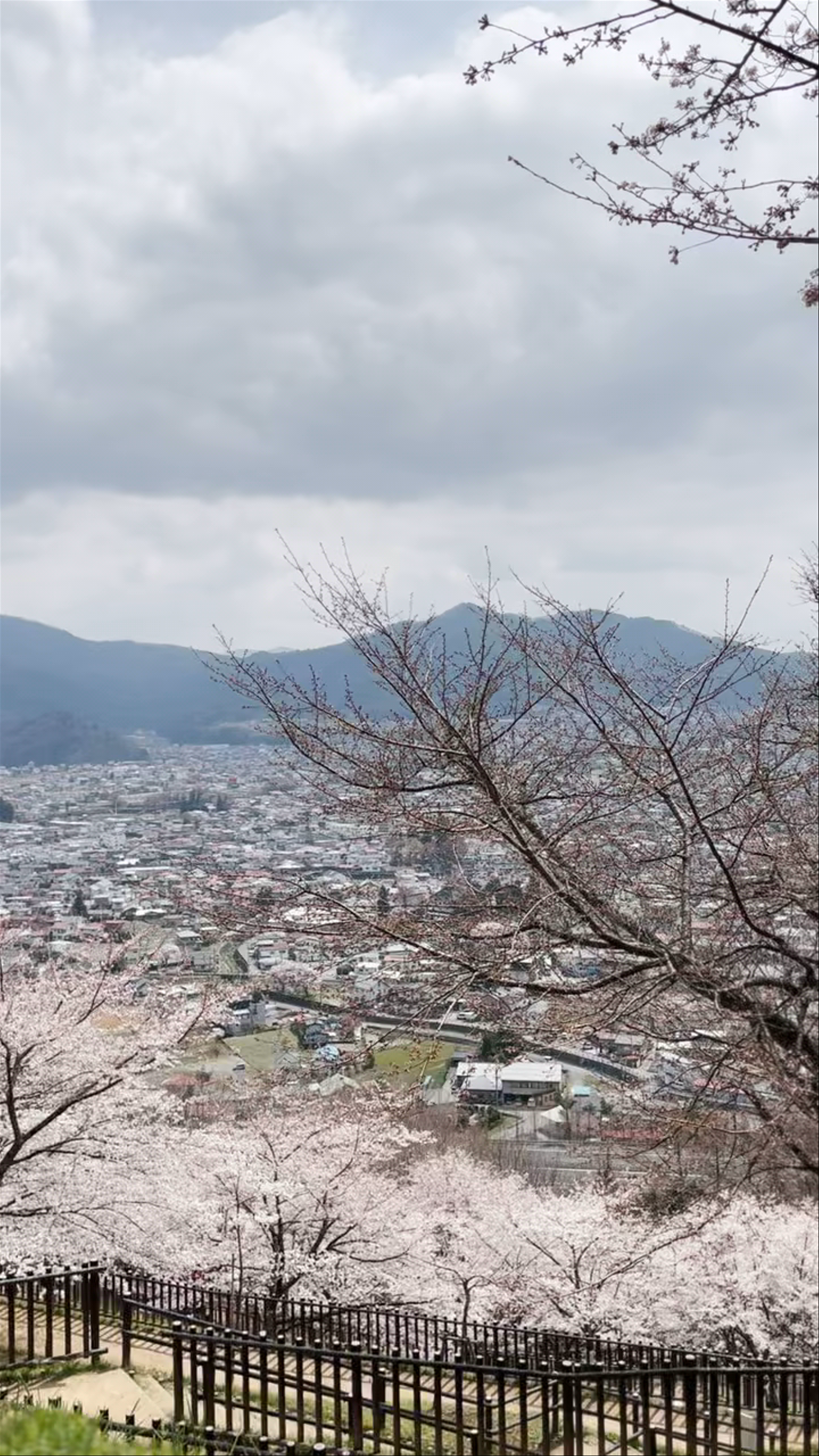 Arakurayama Sengen Park