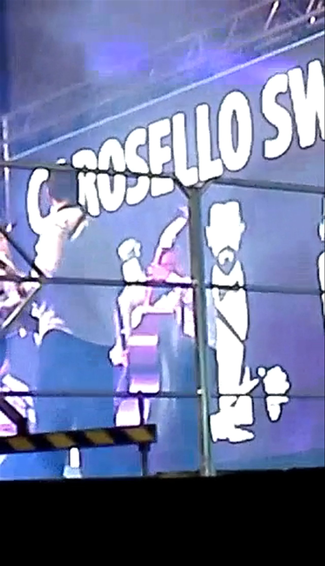 The Italian Swing Band - Concert in Verona - video