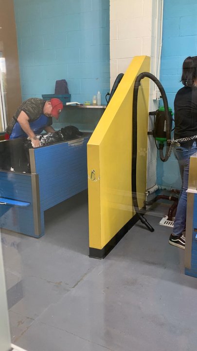 Go Go Spa - self dog wash - Pet Groomers Near Me - Rosemead, California