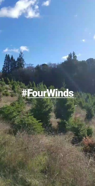 Four Winds Ranch - Nurseries & Gardening Near Me - Los Gatos, California