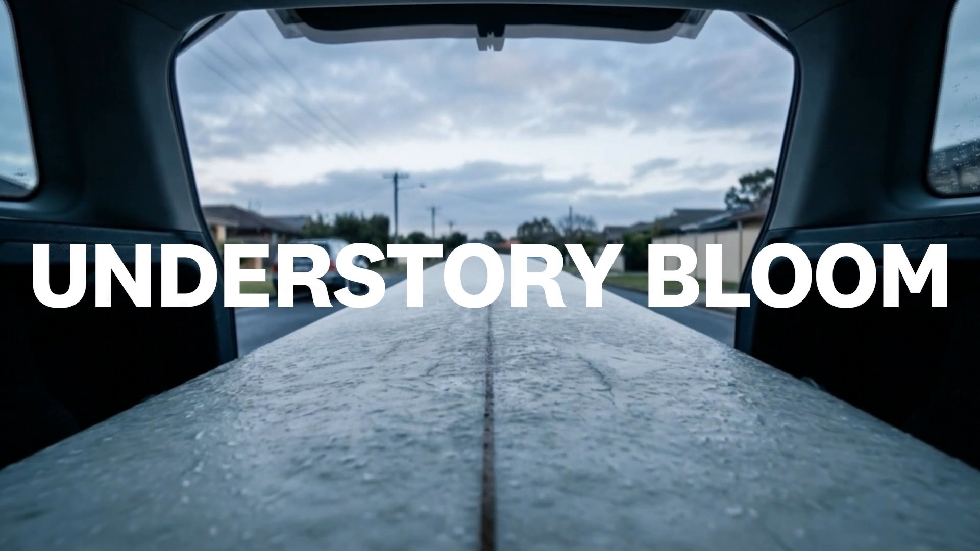 Understory Bloom - Launch Video